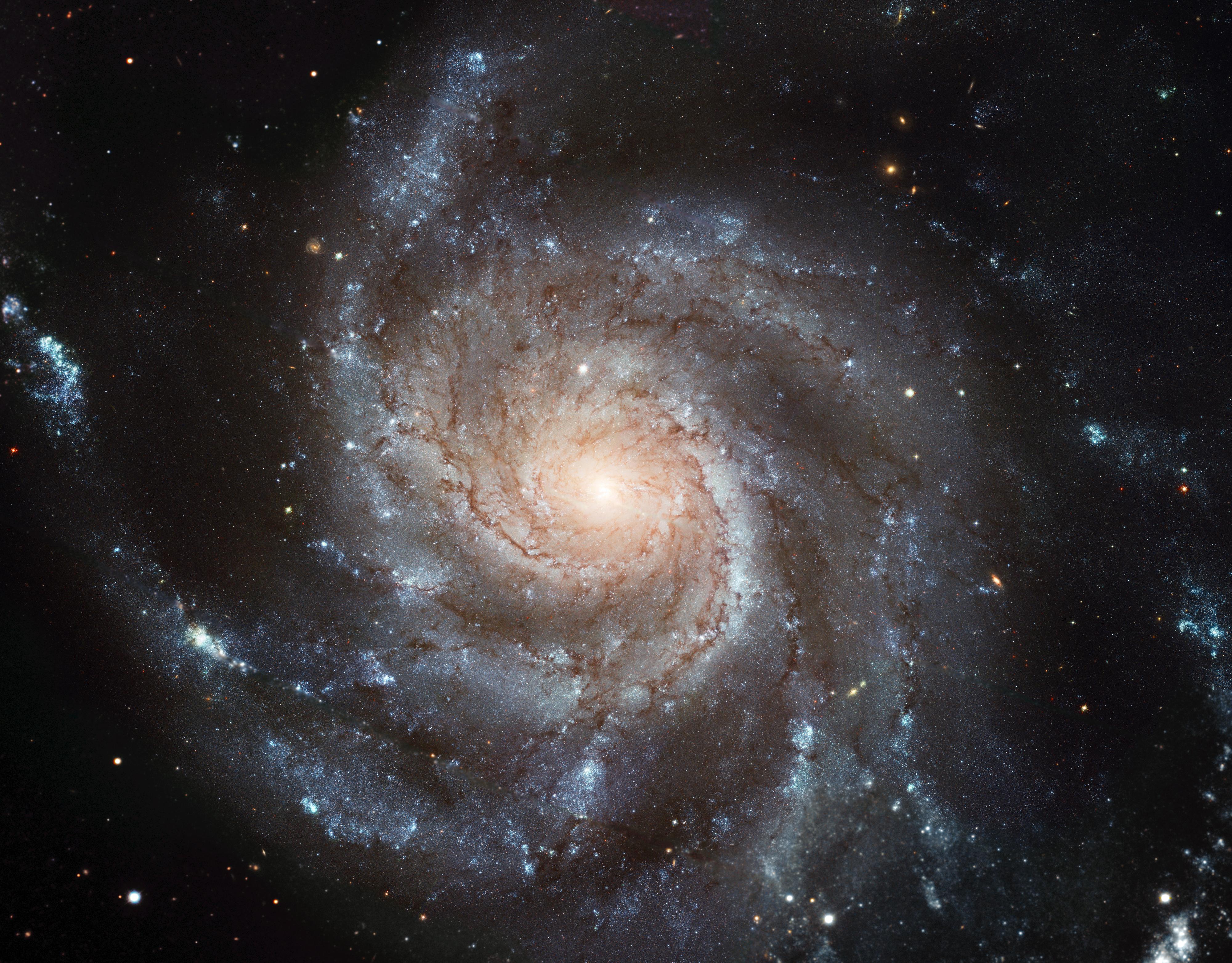 astronomy, pinwheel galaxy, universe, stars, shine, brilliance, galaxy, spiral, galaxy turntable 8K