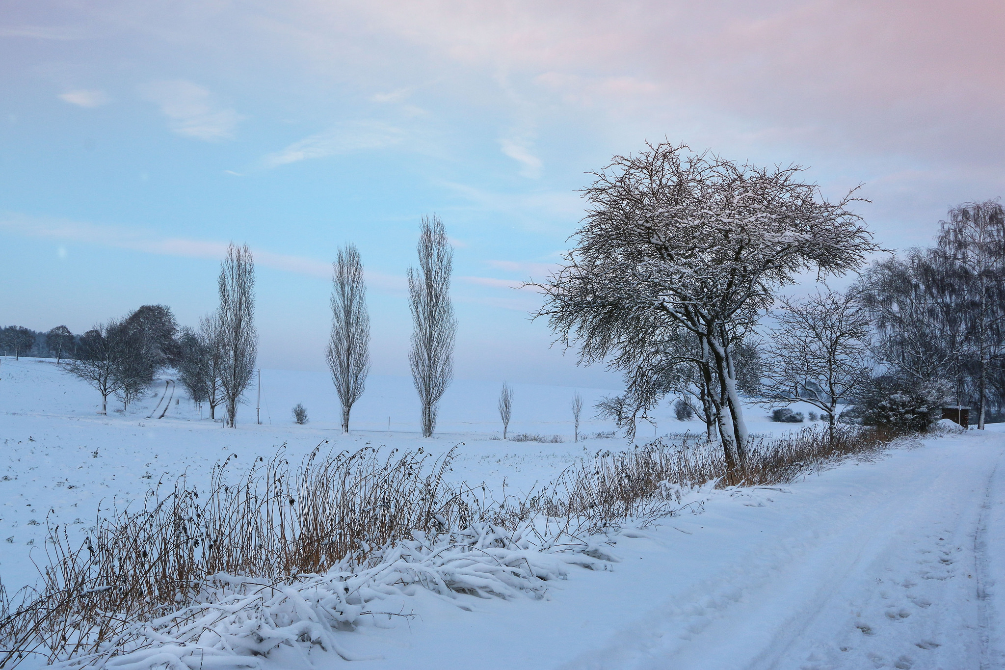 Winter earth, tree, road, snow HD desktop images