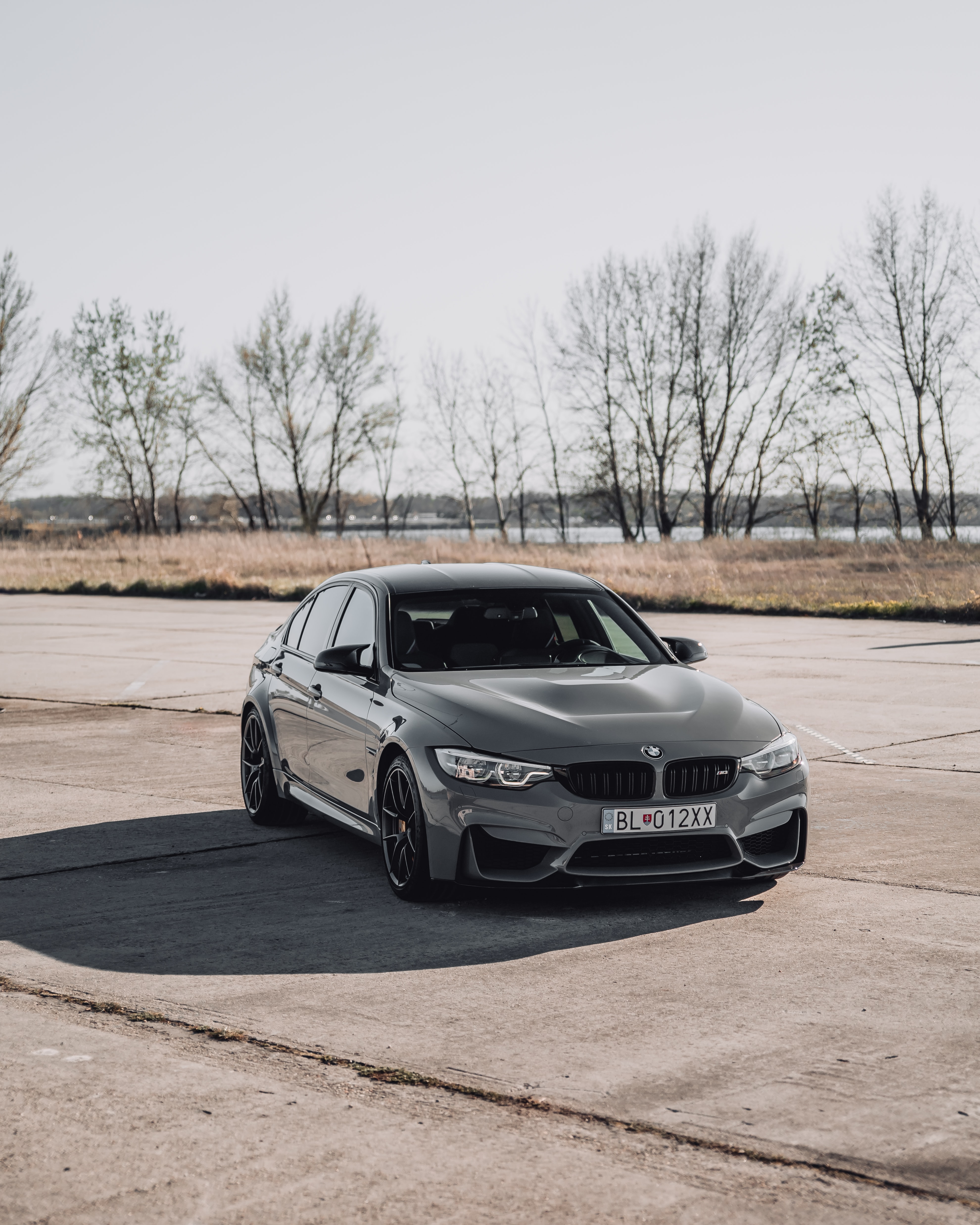 bmw, car, front view, cars, machine, grey Phone Background