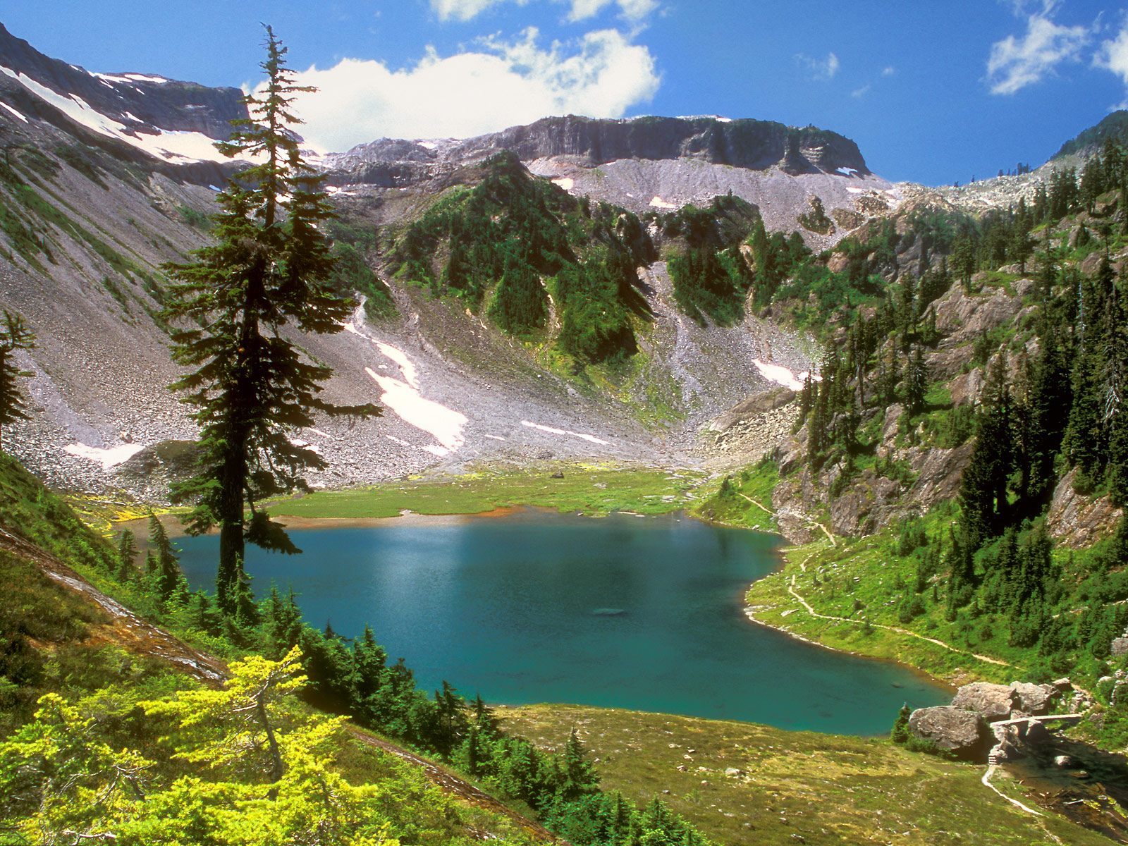 Ultra HD 4K landscape, fir-trees, mountains