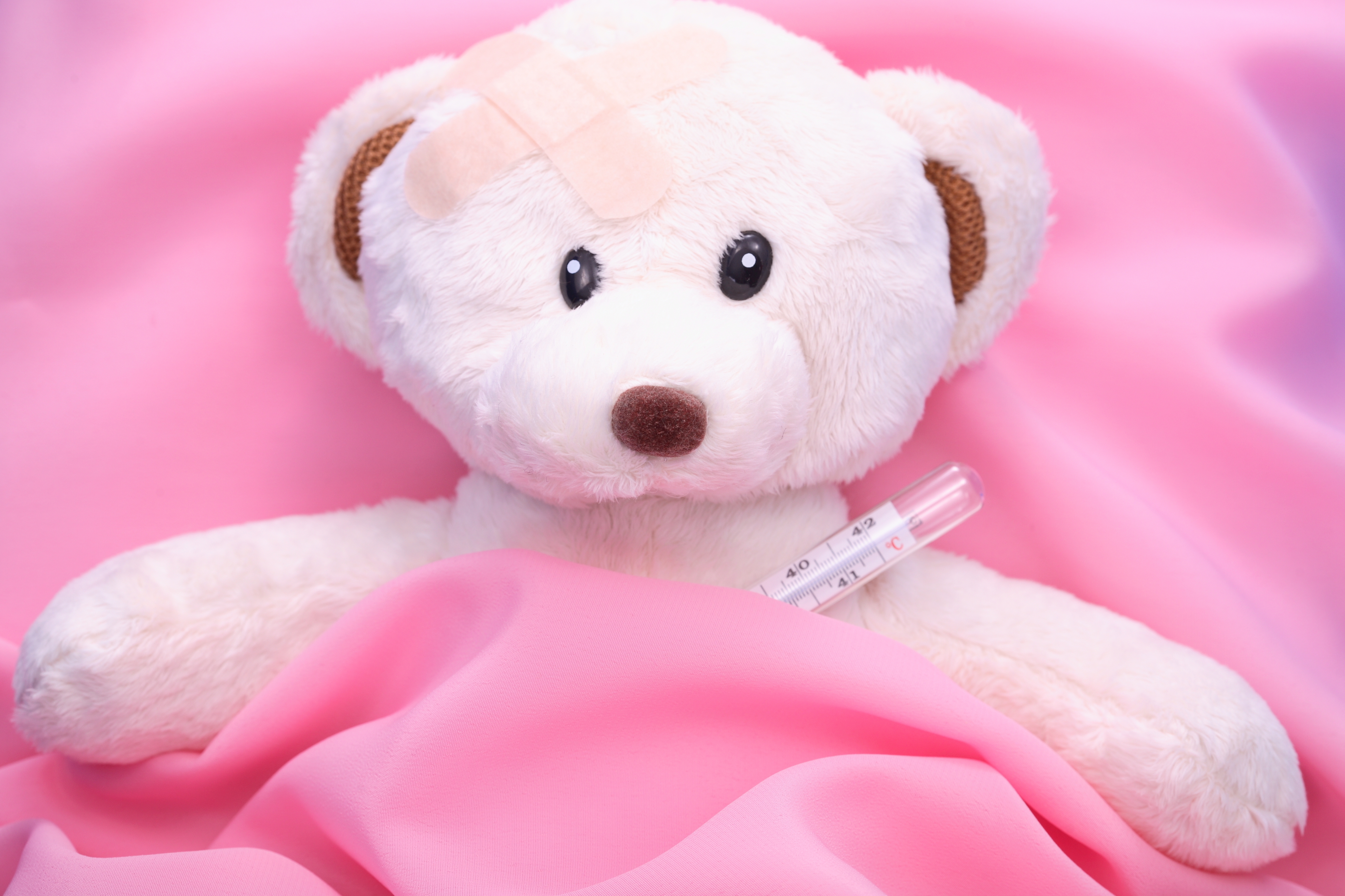 teddy bear, miscellanea, miscellaneous, toy, bed, disease, illness, plaster, patch, thermometer