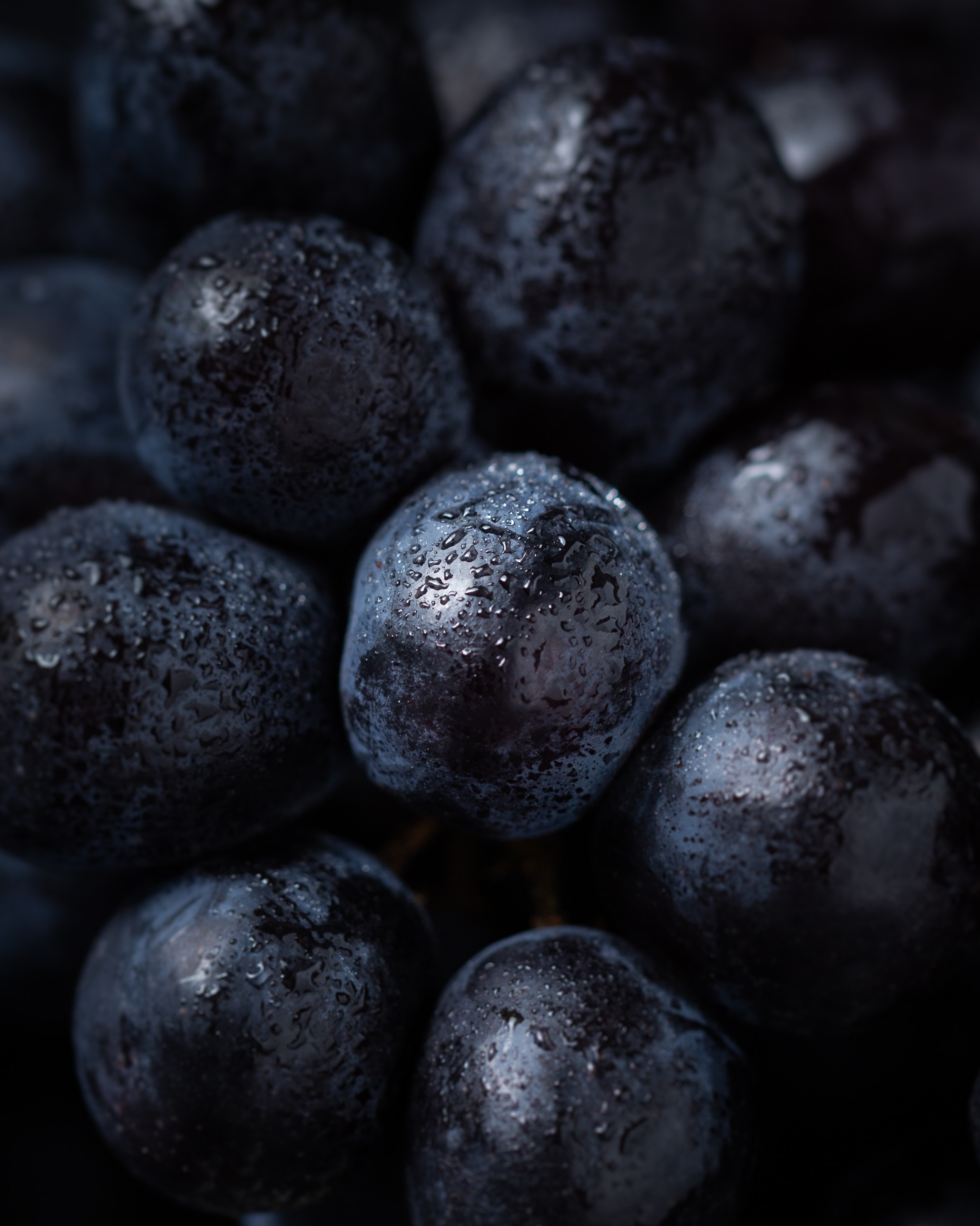 158105 Screensavers and Wallpapers Berry for phone. Download grapes, drops, macro, berry, ripe pictures for free