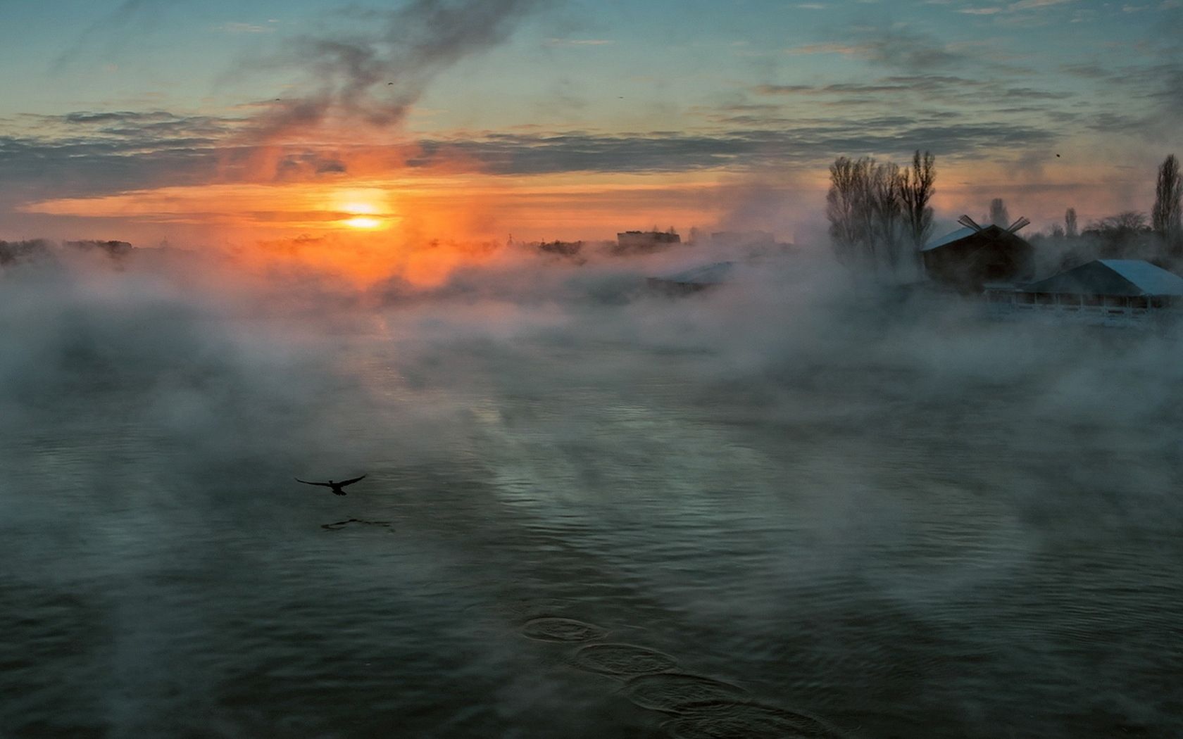 Phone Background fog, rivers, nature, flight