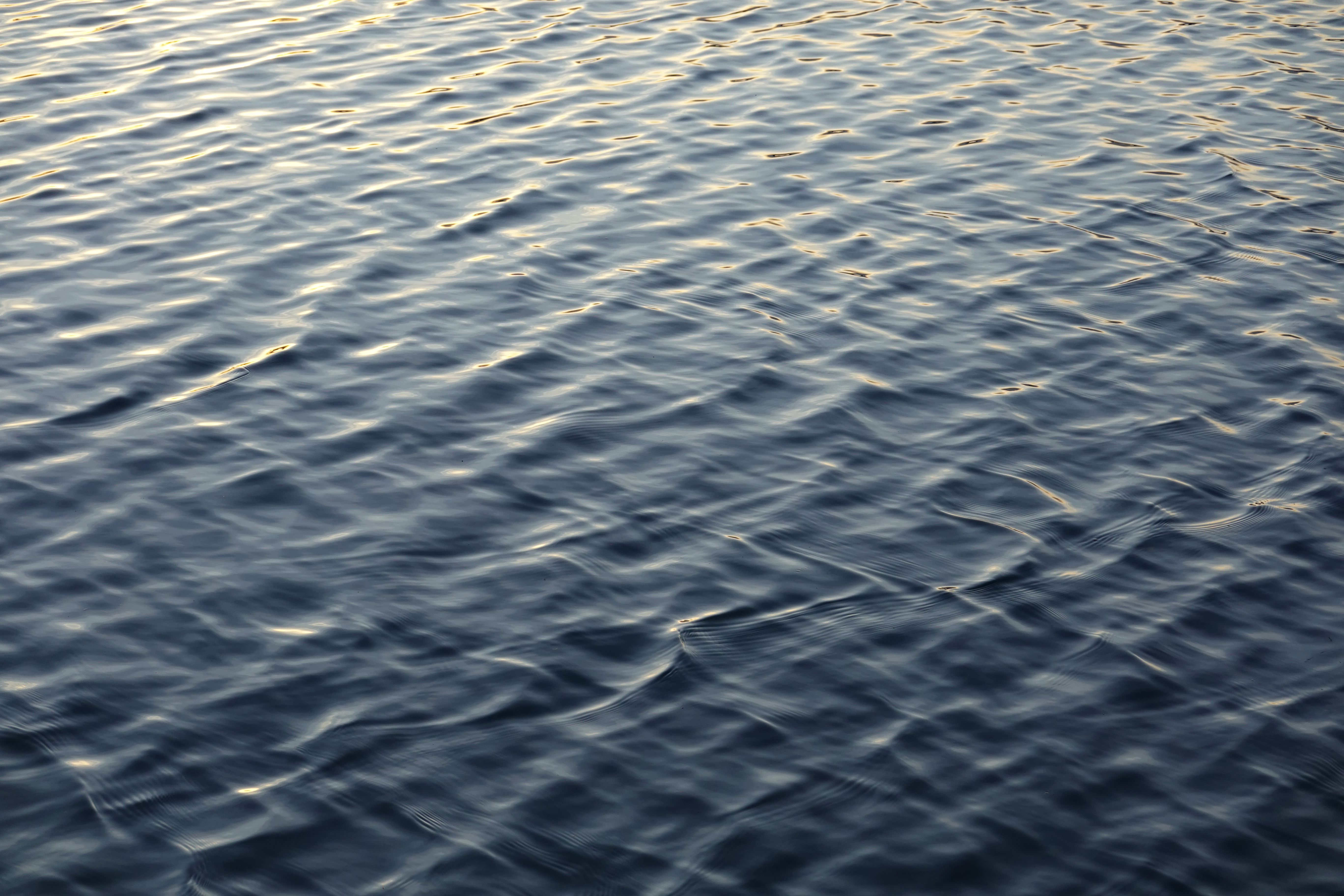 nature, water, waves, ripples, ripple, surface, basin Phone Background
