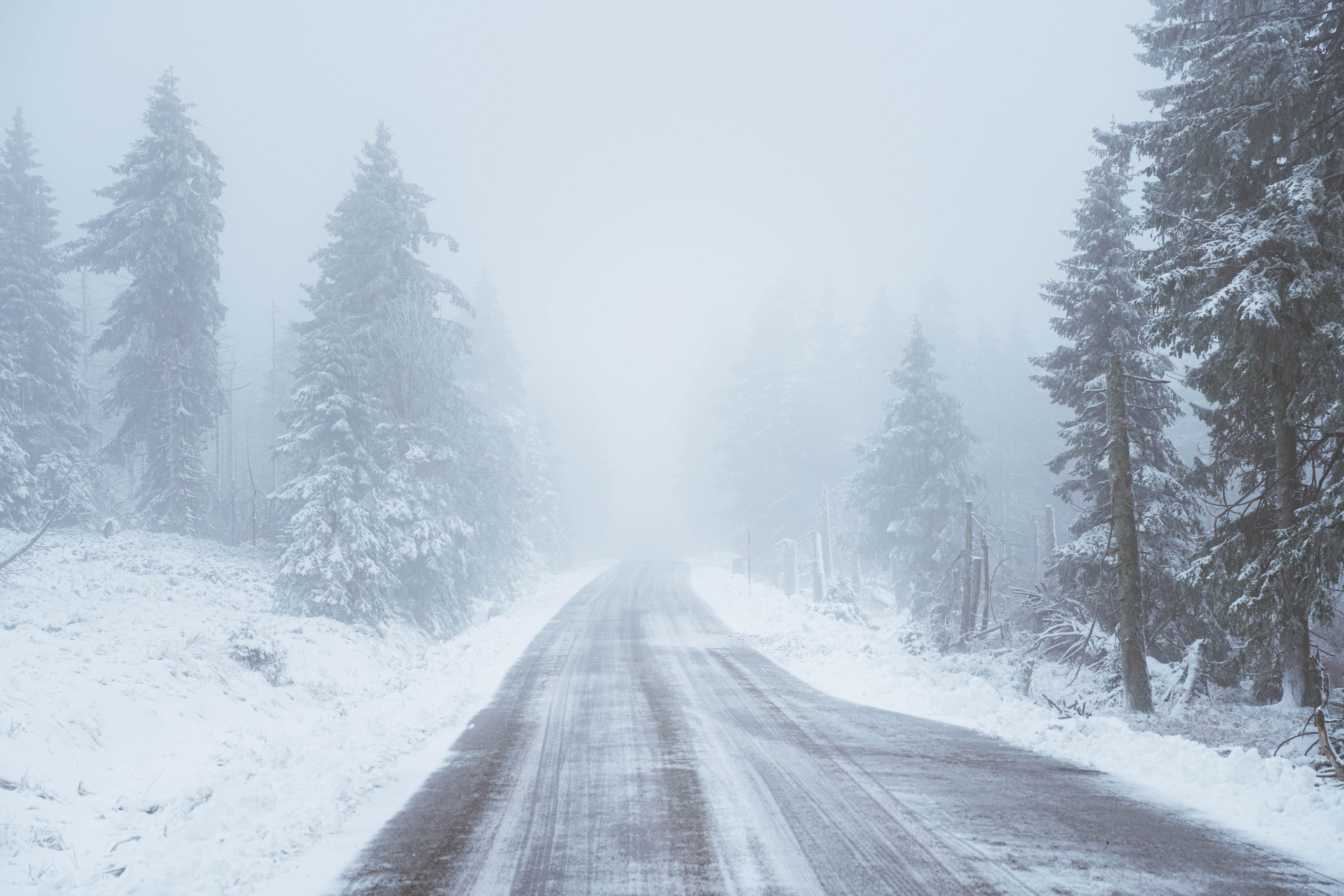 120862 Hintergrundbild herunterladen winter, natur, bäume, schnee, straße, schneesturm - Bildschirmschoner und Bilder kostenlos