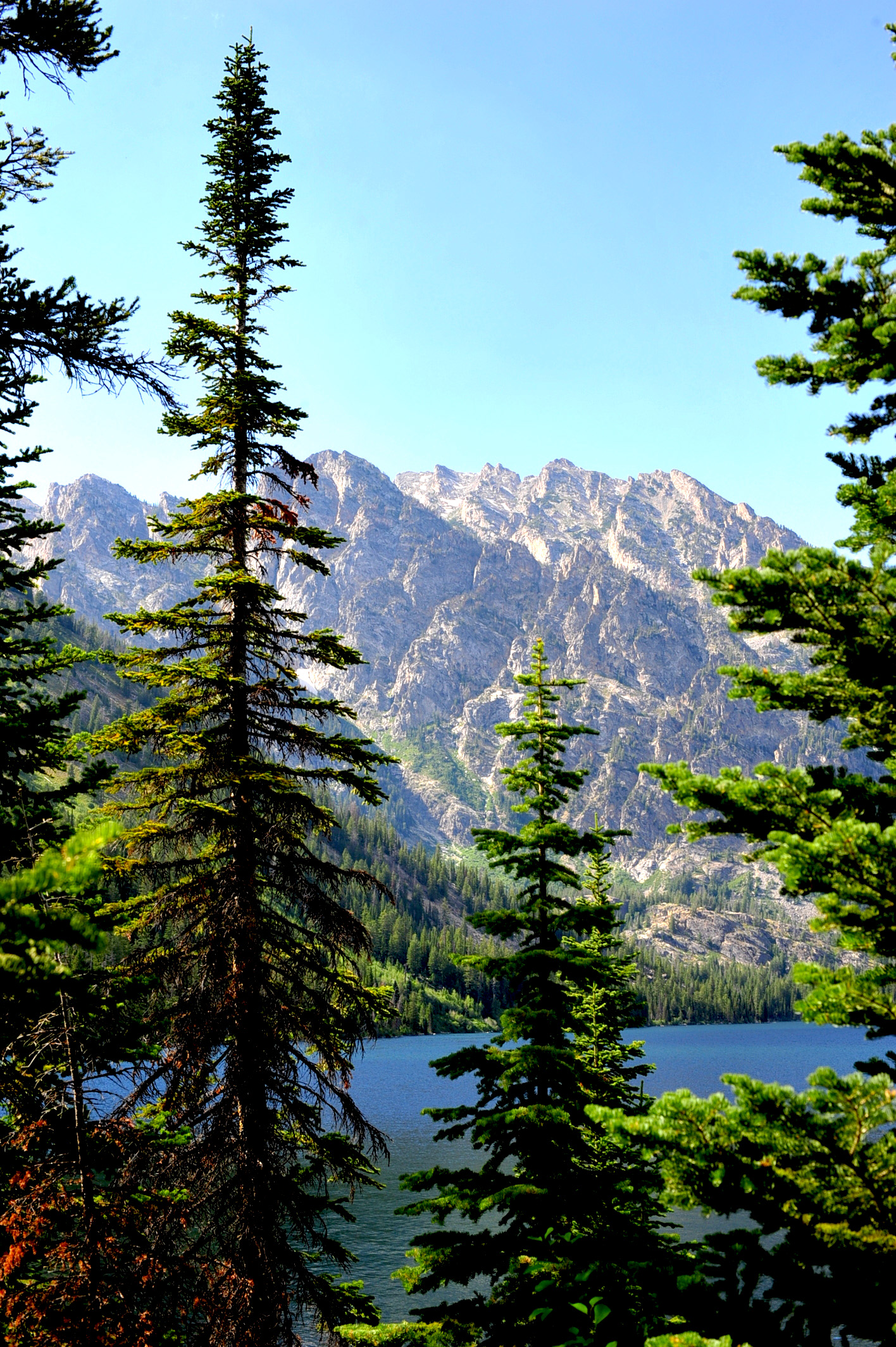 お使いの携帯電話の128159スクリーンセーバーと壁紙湖。 山脈, 自然, スプルース, 森の写真を無料でダウンロード