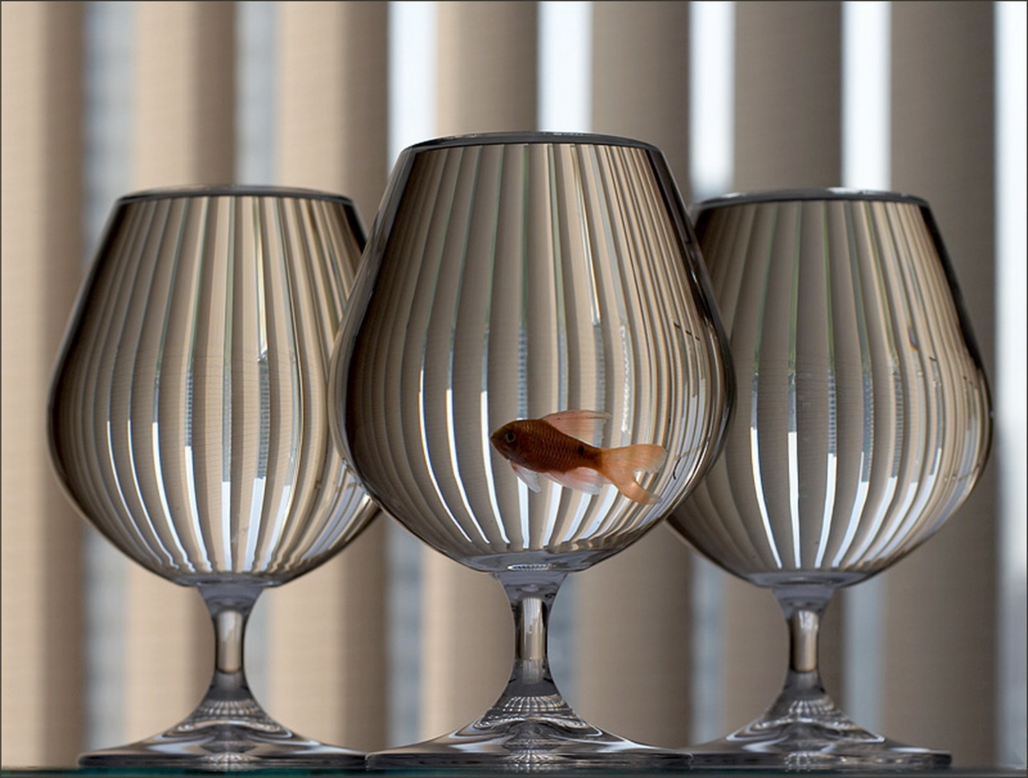 High Definition wallpaper animals, goblets, glass, fish