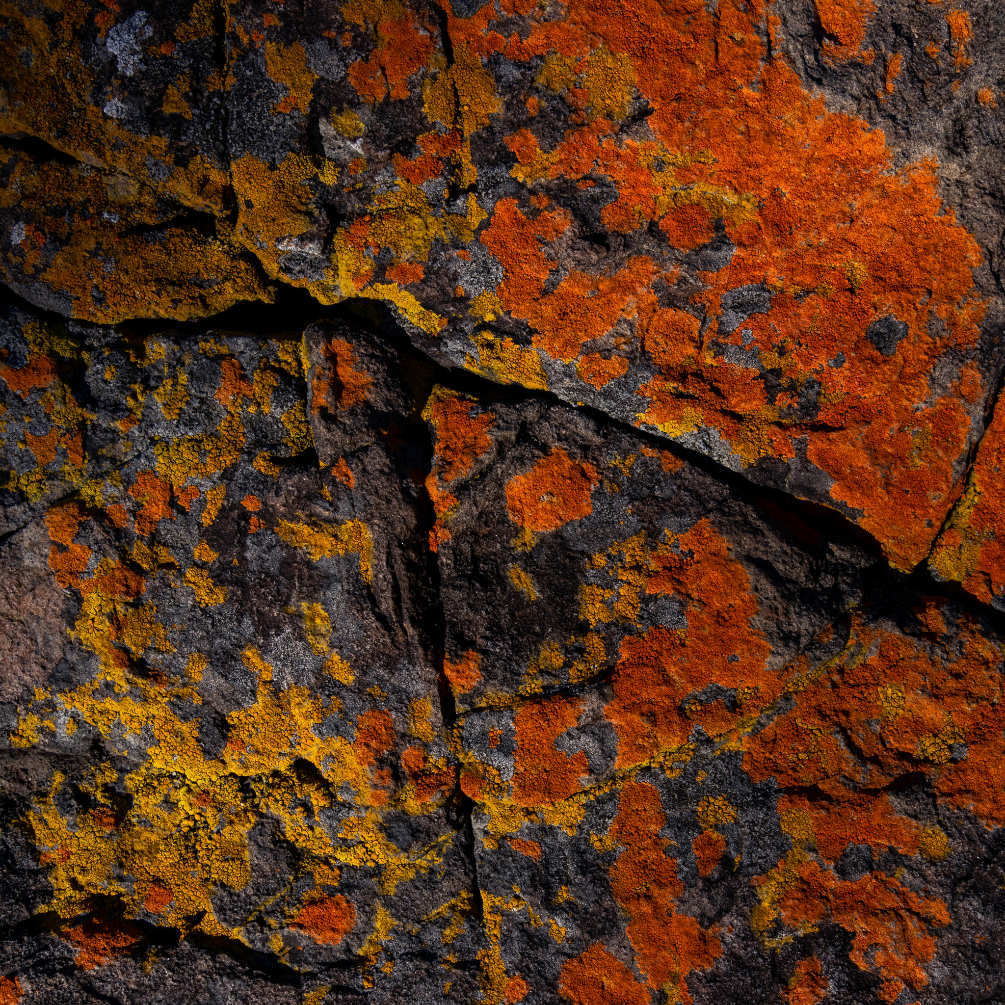 texture, rock, textures, stone, crack HD wallpaper