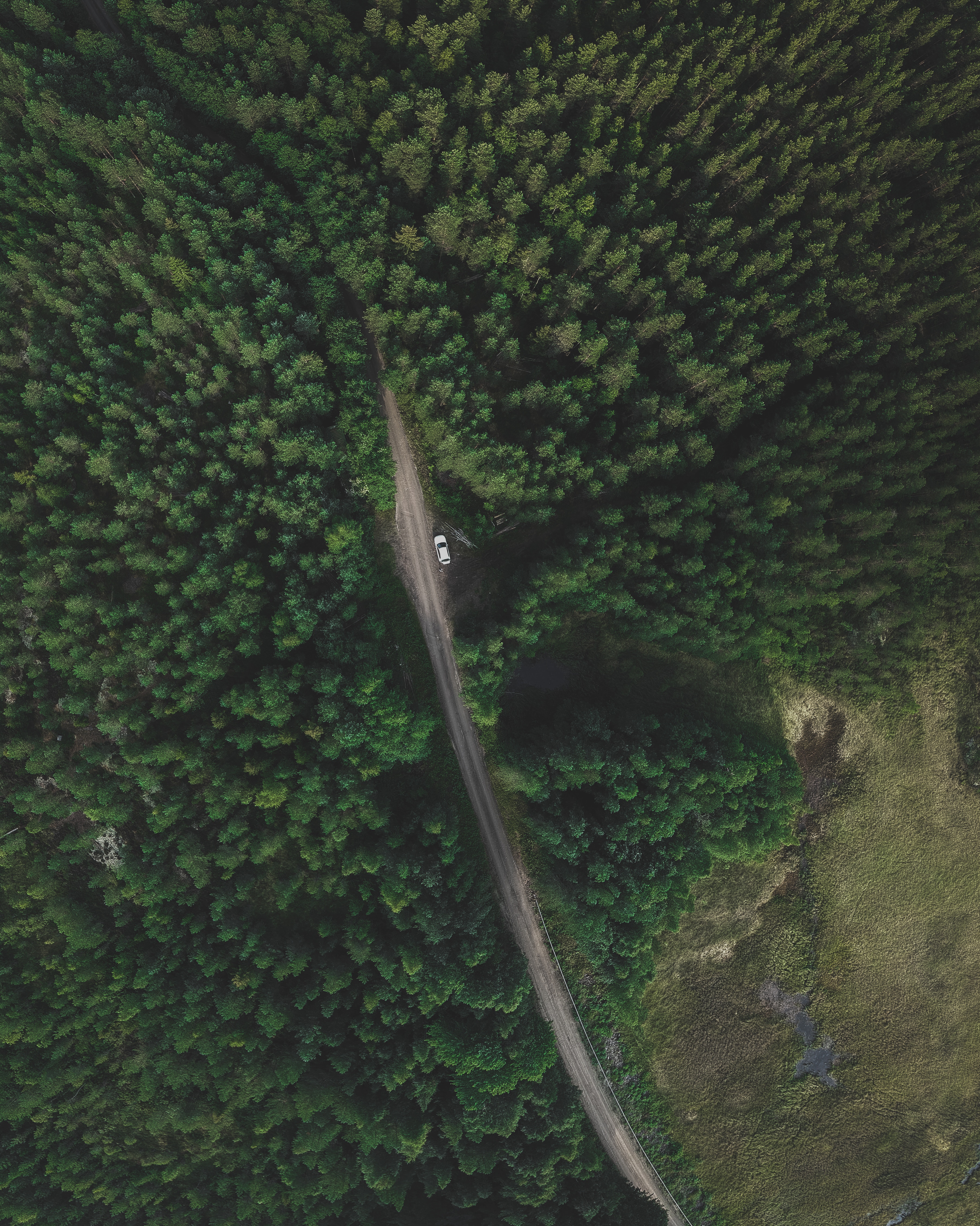 nature, trees, view from above, road, forest, traffic, movement