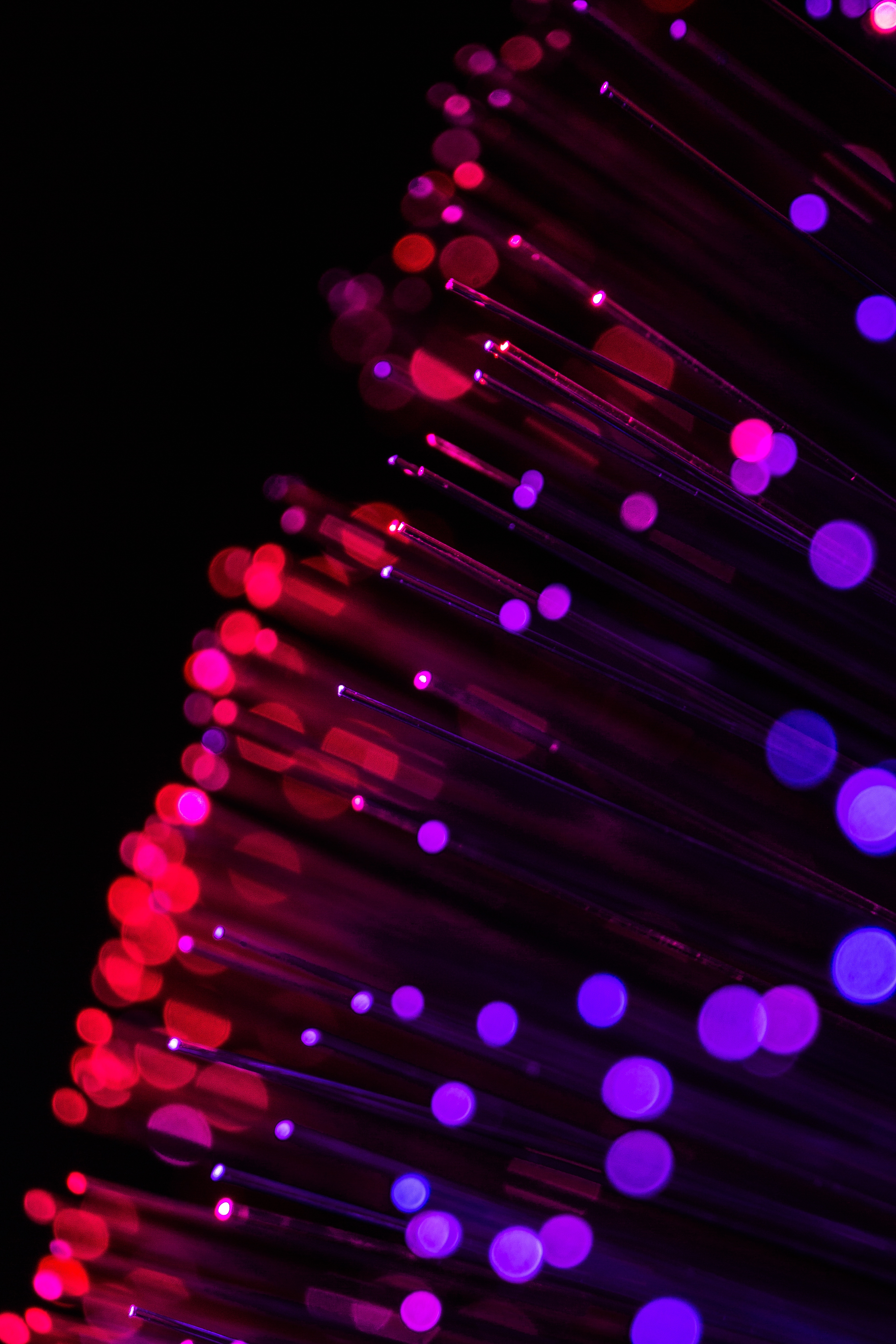 violet, red, macro, glare, shine, brilliance, purple, thread, optical fiber for android