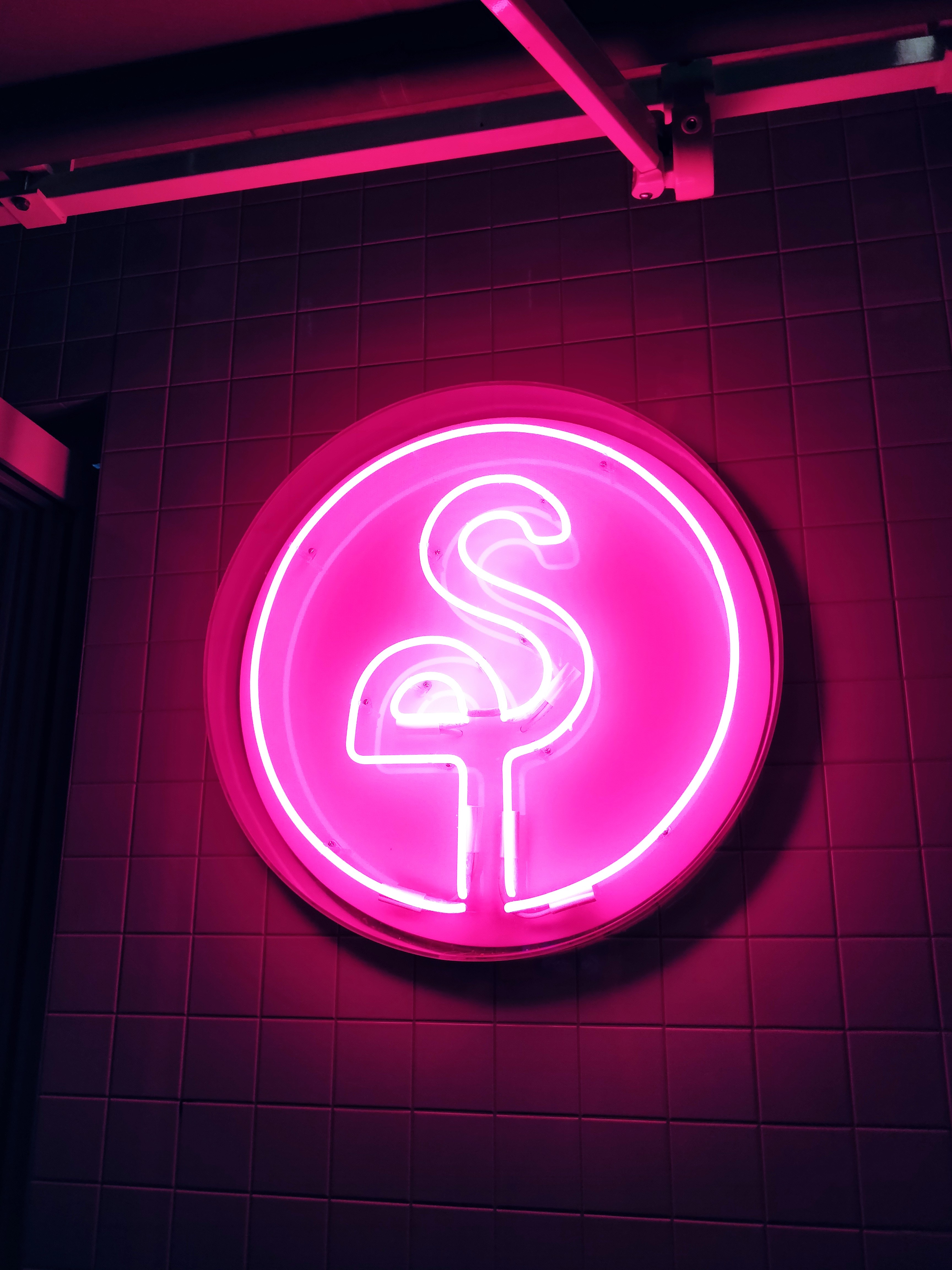 150246 Bildschirmschoner und Hintergrundbilder Flamingo auf Ihrem Telefon. Laden Sie rosa, flamingo, zeichen, verschiedenes, sonstige, schild, neon, glühen, glow, elektrizität, strom Bilder kostenlos herunter