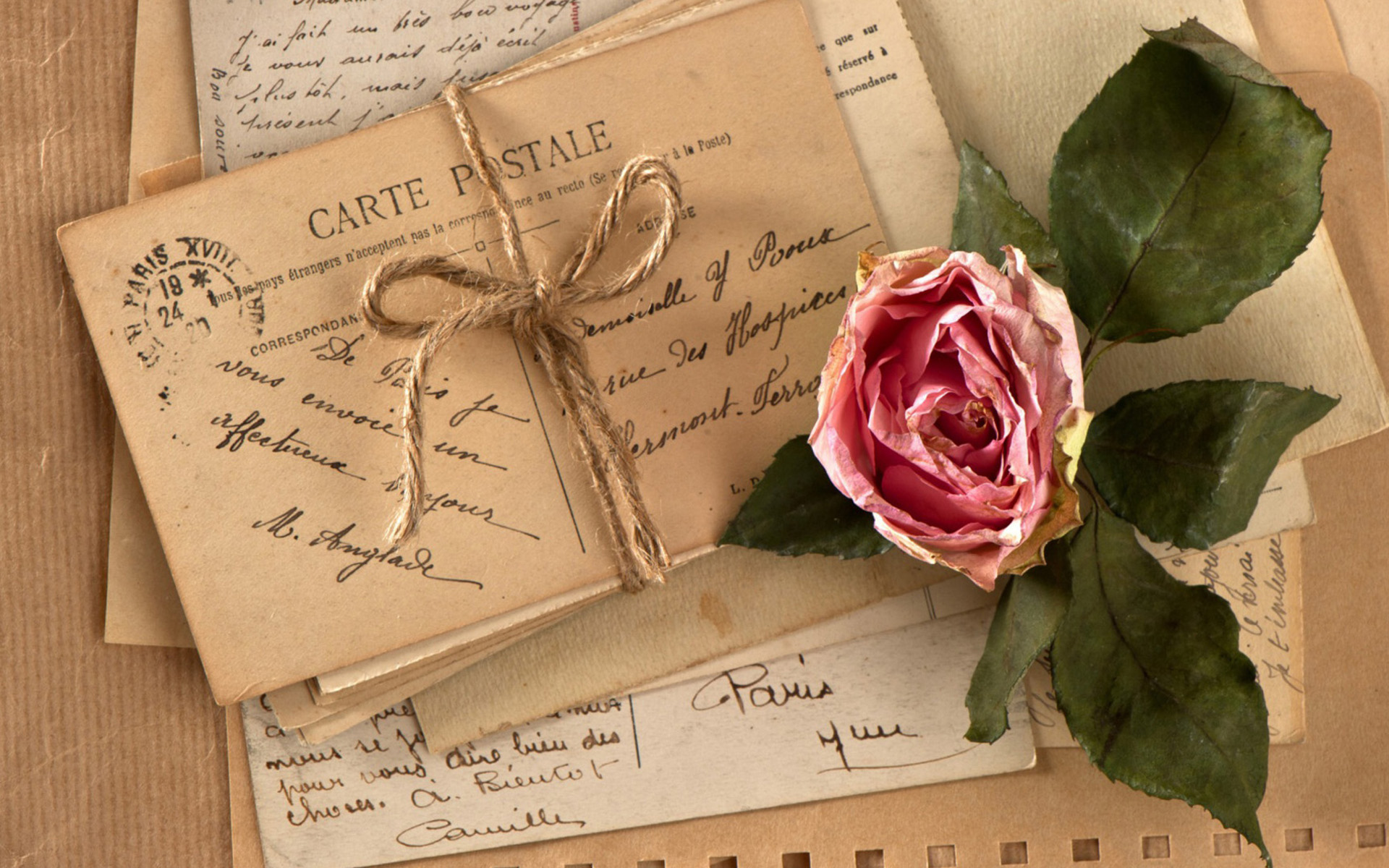 photography, vintage, letter, pink rose, postcard, rose UHD
