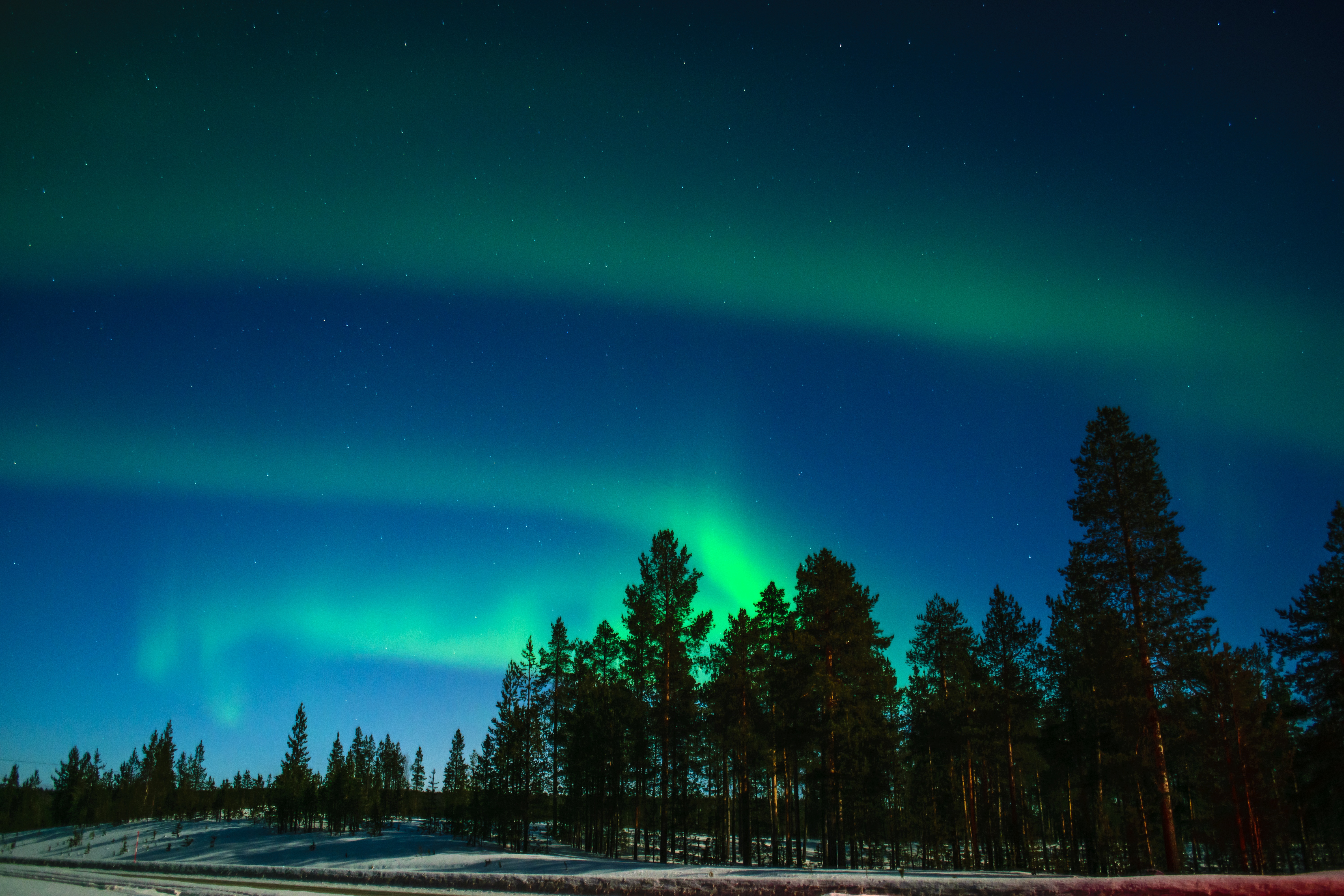northern lights, trees, dark, aurora borealis, aurora, phenomenon of light, lapland