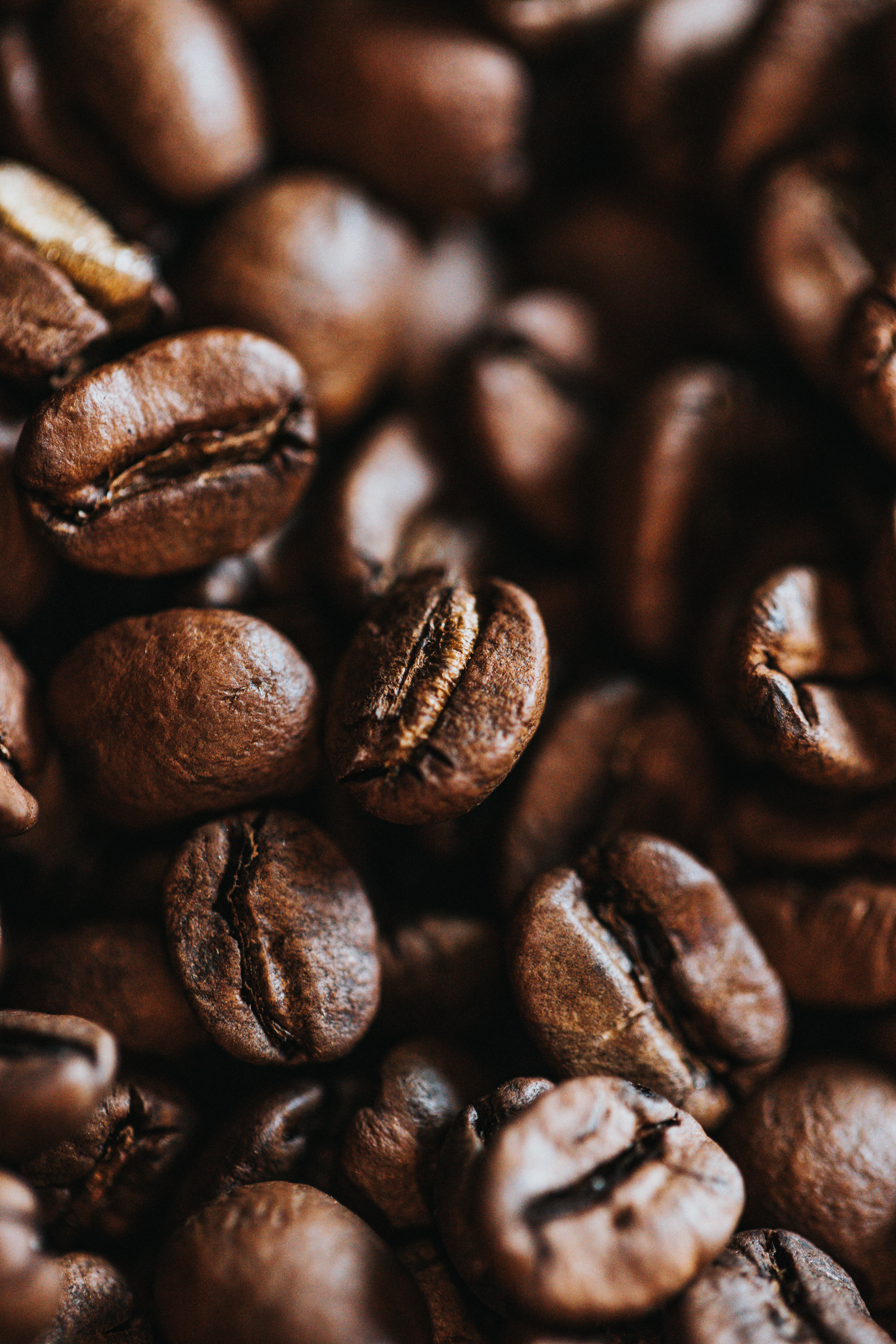 coffee beans, coffee, macro, brown, grains, grain