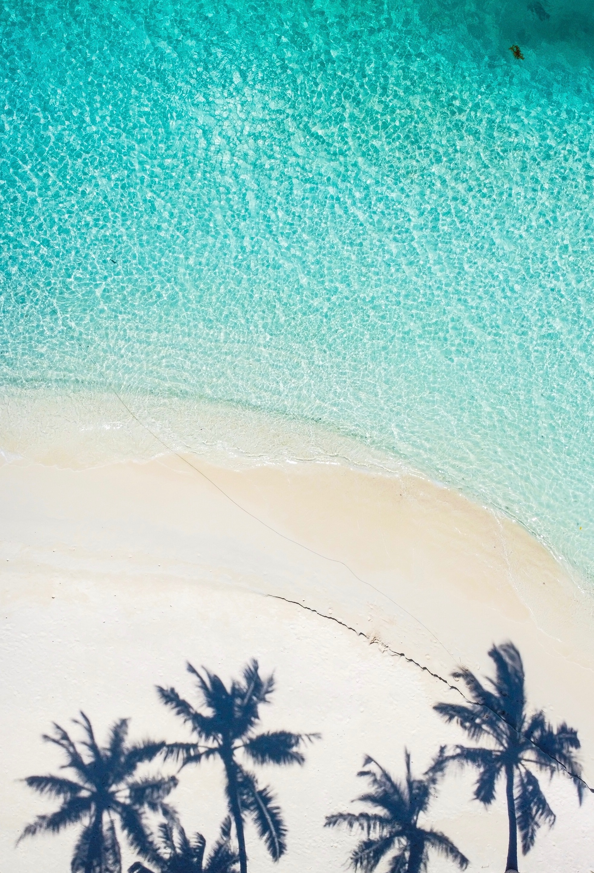 70189 скачать обои пляж, пальмы, природа, вода, песок, вид сверху, тень - заставки и картинки бесплатно