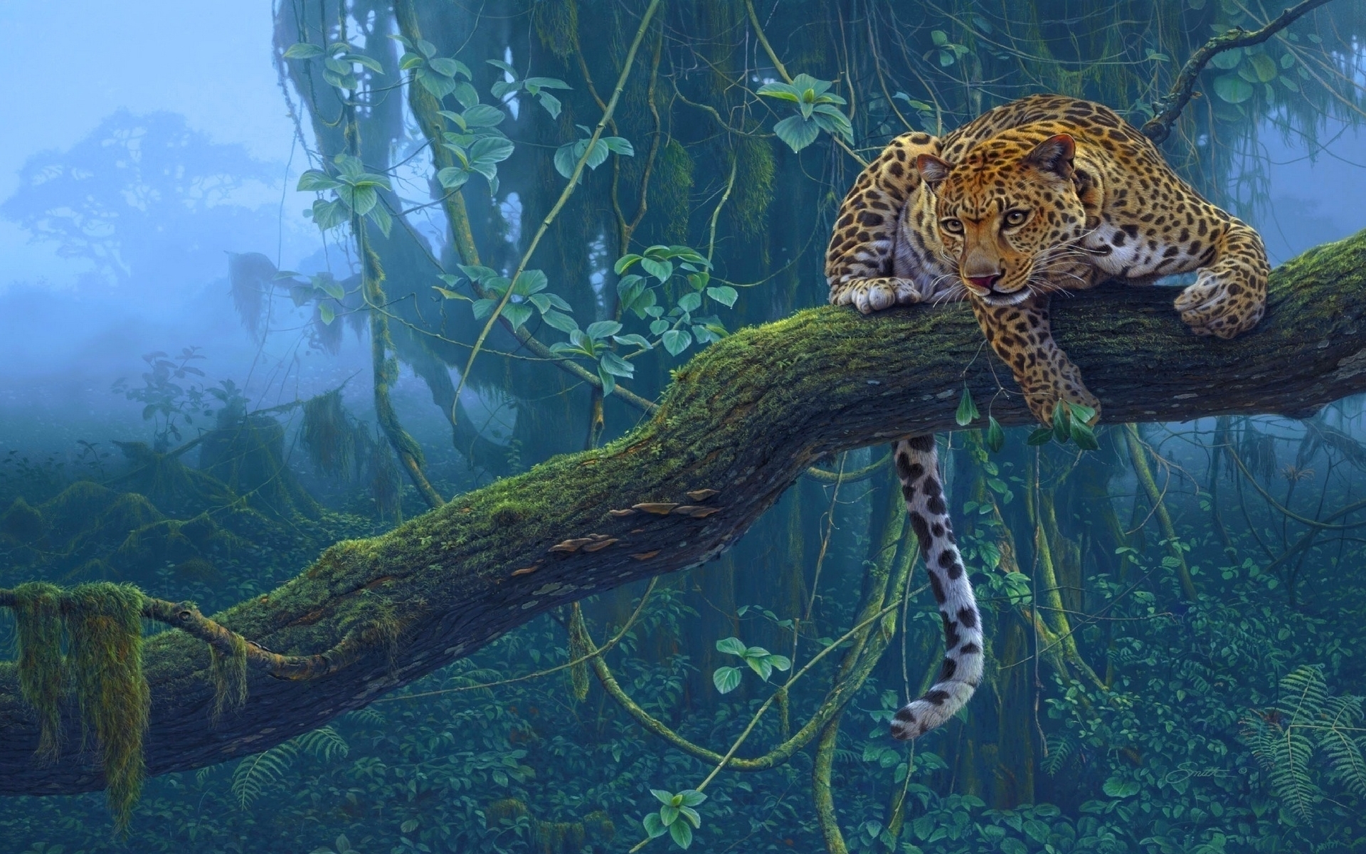 49849 Bild herunterladen tiere, geparden - Hintergrundbilder und Bildschirmschoner kostenlos