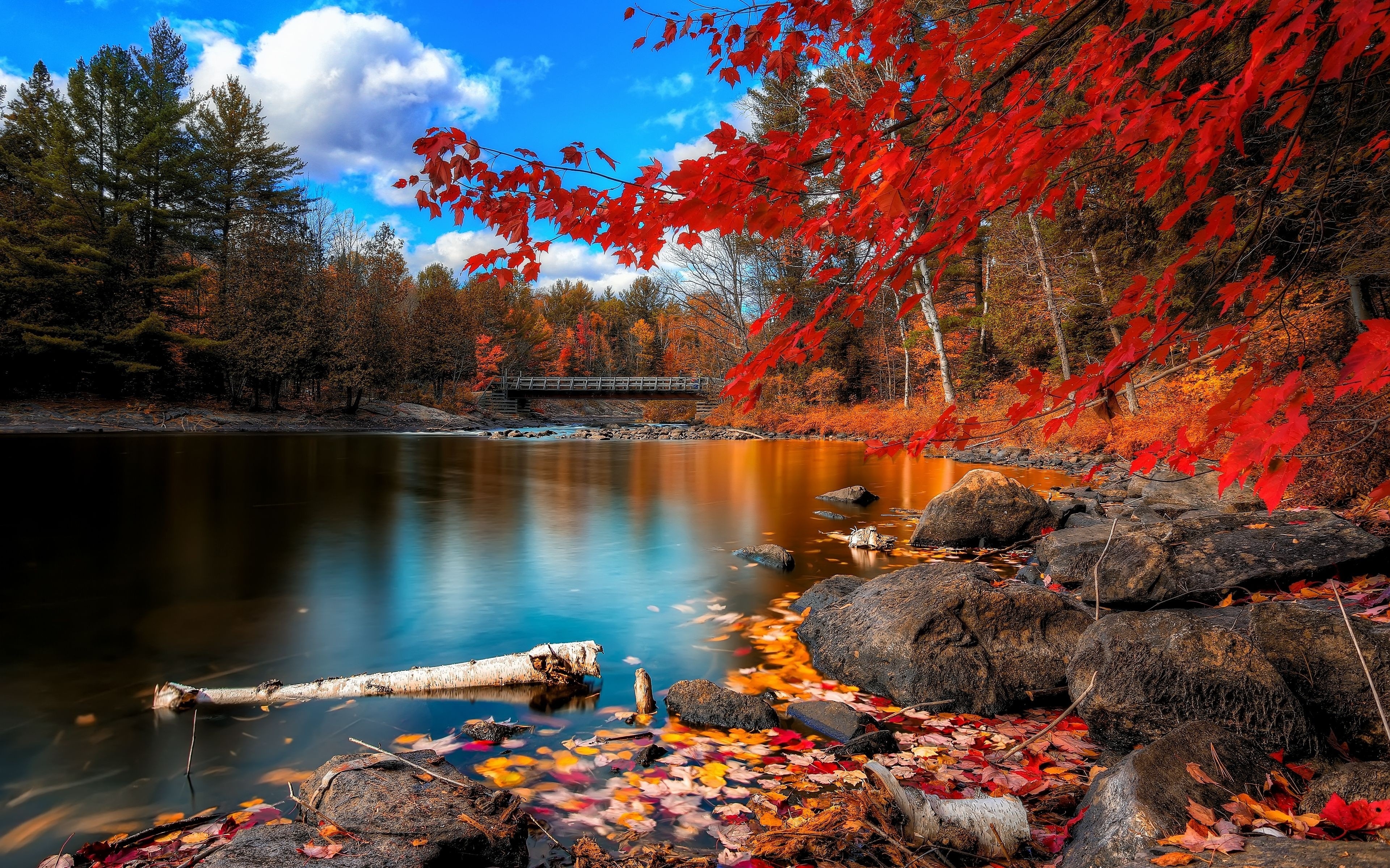 nature, lake, water, bridge, tree, fall, earth, leaf lock screen backgrounds