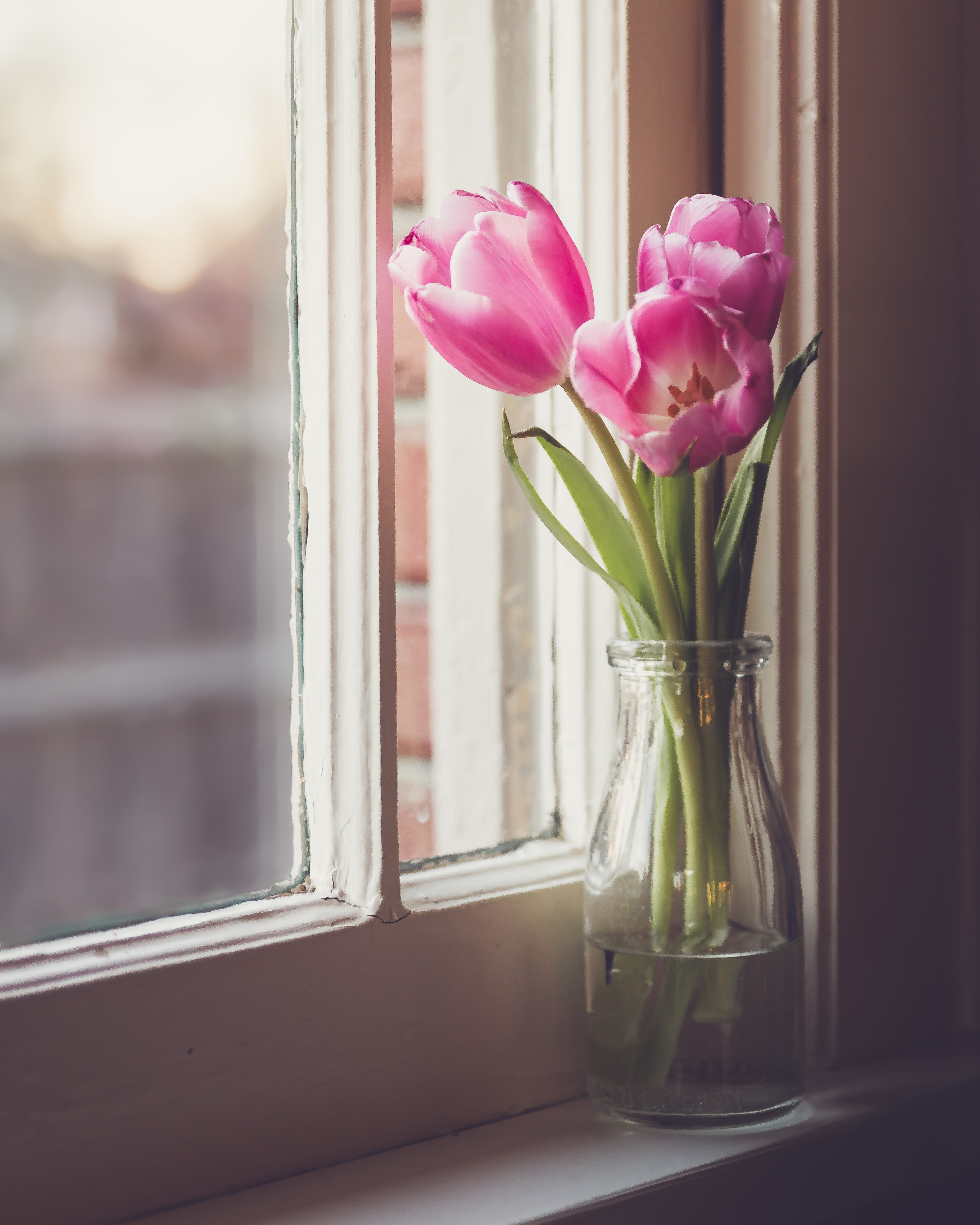 56672 завантажити шпалери тюльпани, квіти, вікно, ваза - заставки і картинки безкоштовно