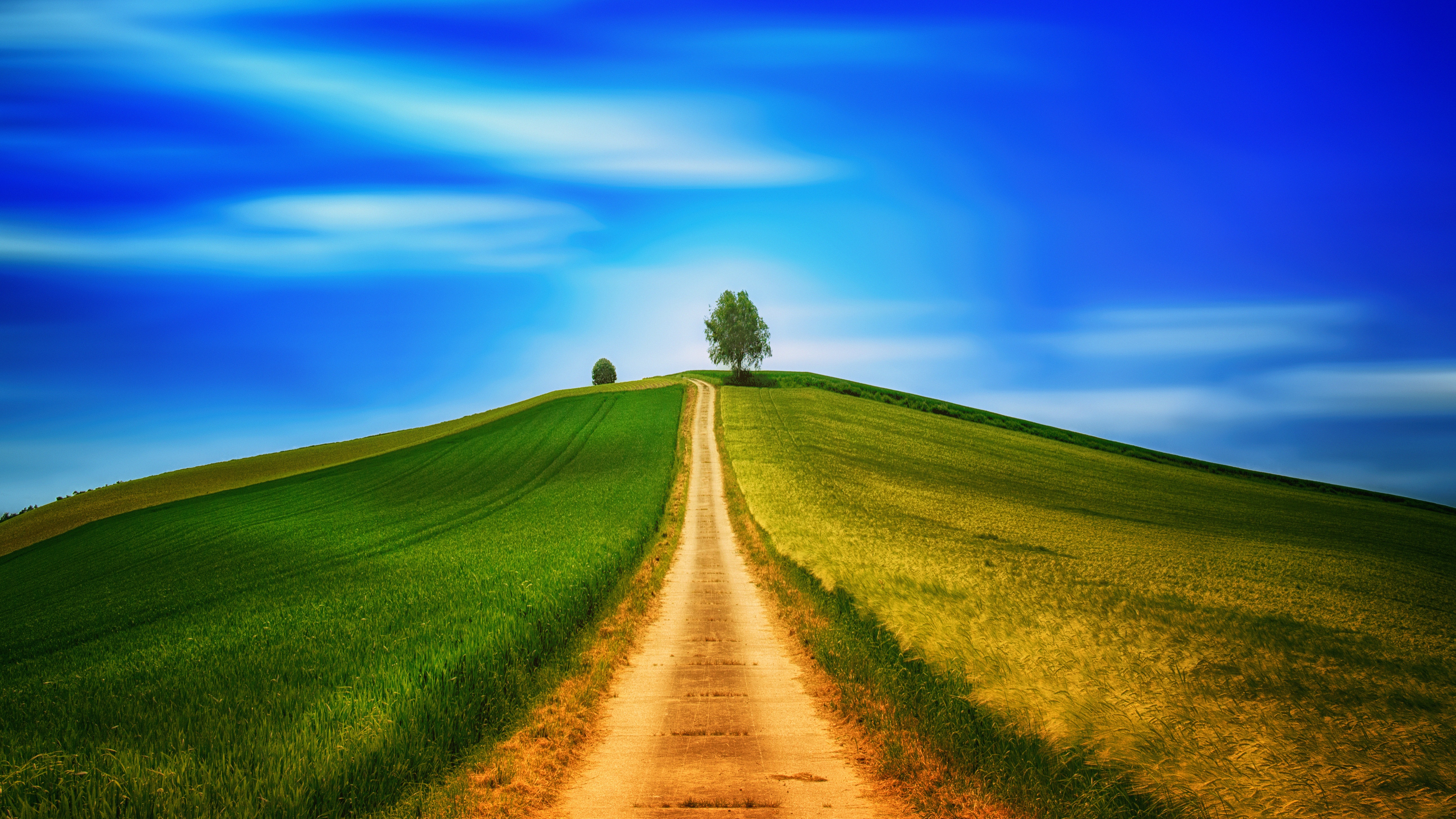 field, summer, nature, grass, sky, road, hill wallpaper for mobile