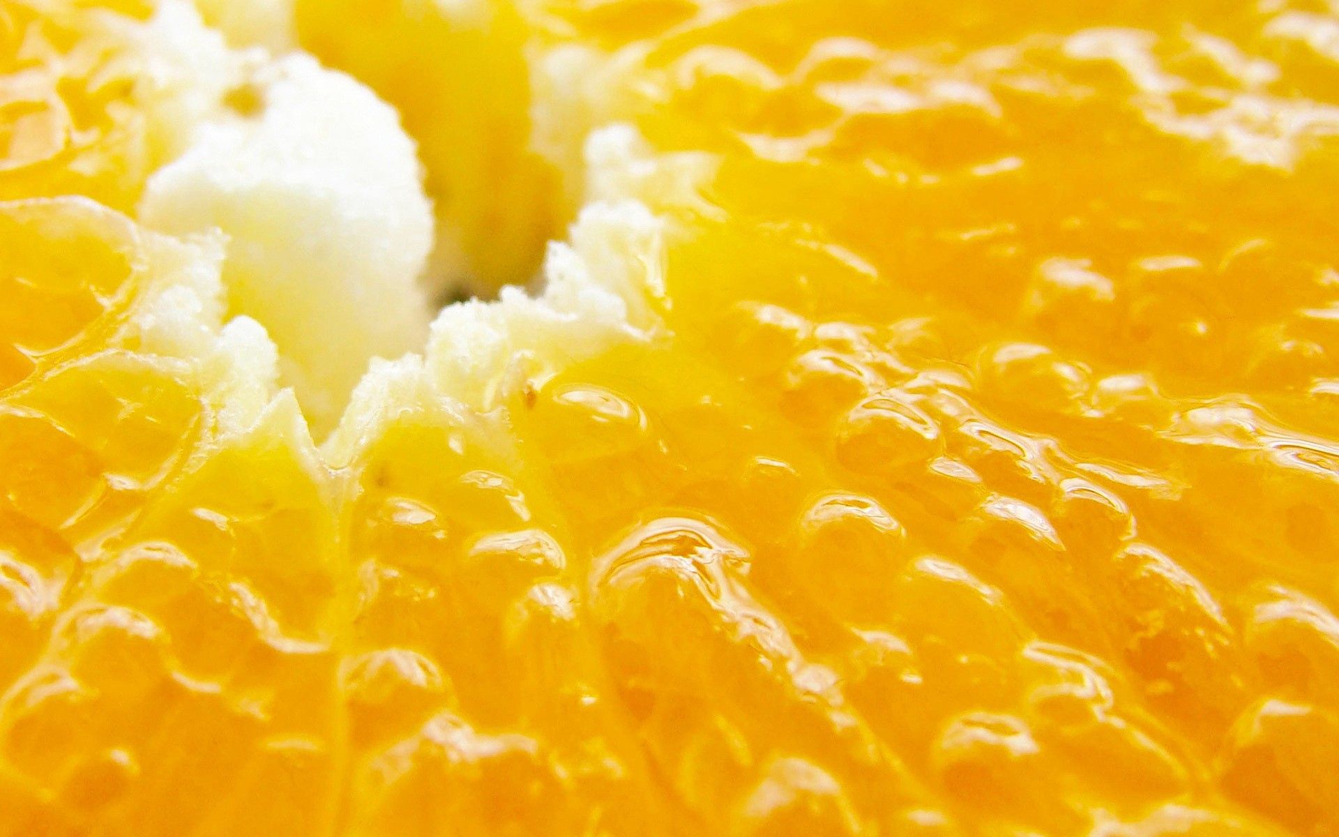 120735 Hintergrundbild herunterladen orange, makro, die frucht, frucht, lecker, köstliche - Bildschirmschoner und Bilder kostenlos