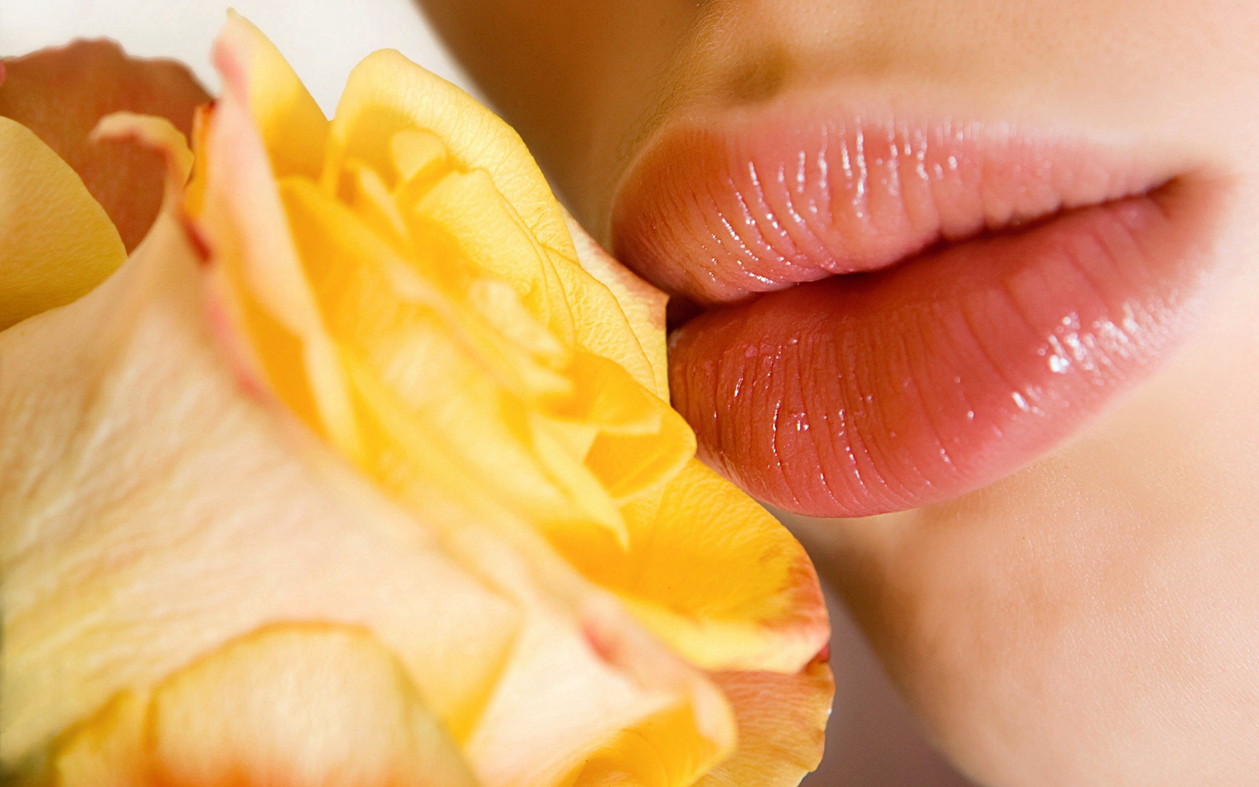 Laden Sie das Rosa, Blume, Makro, Zärtlichkeit, Lippen-Bild kostenlos auf Ihren PC-Desktop herunter