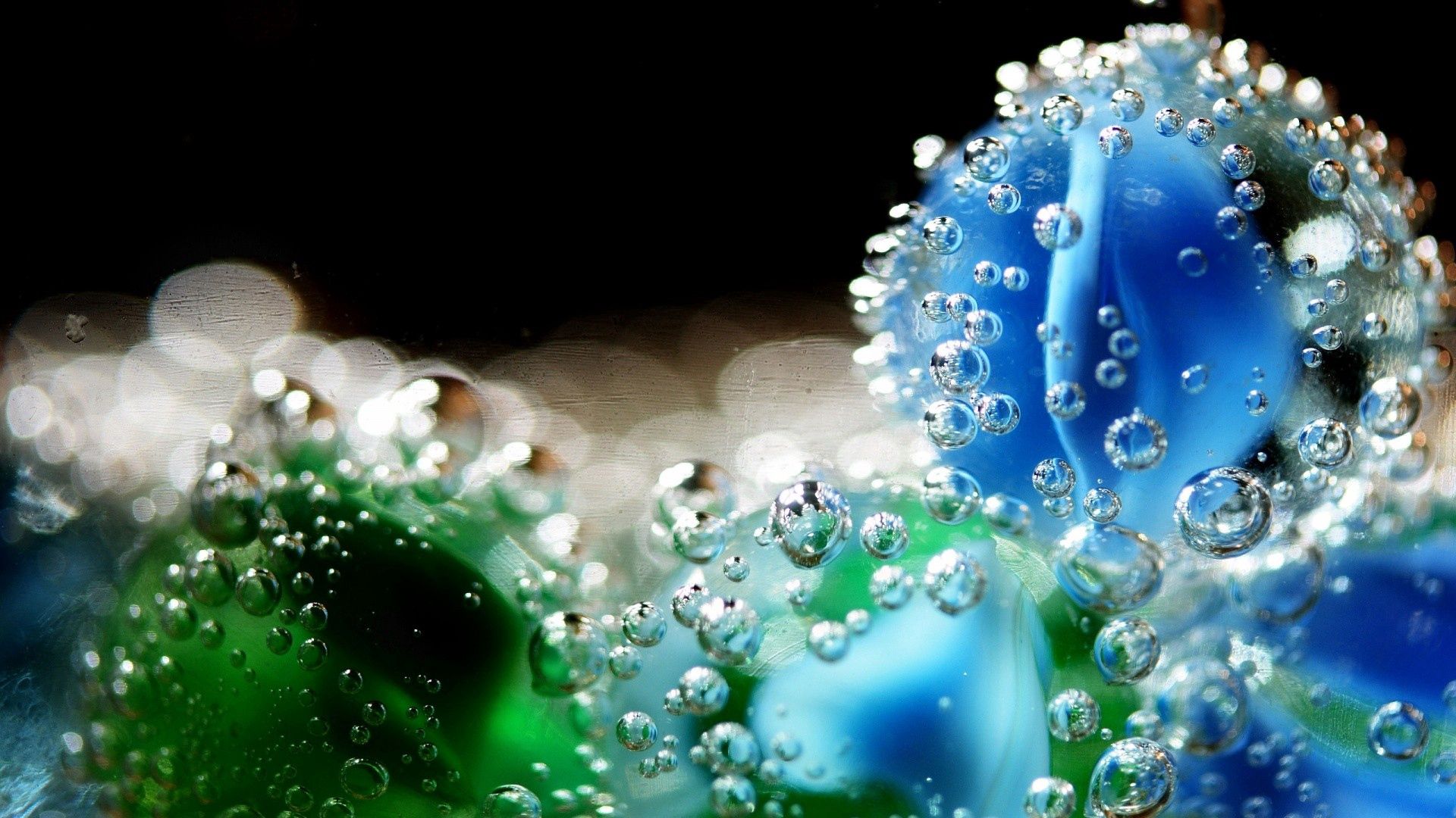 Laden Sie das Blume, Wasser, Drops, Makro, Eintauchen-Bild kostenlos auf Ihren PC-Desktop herunter