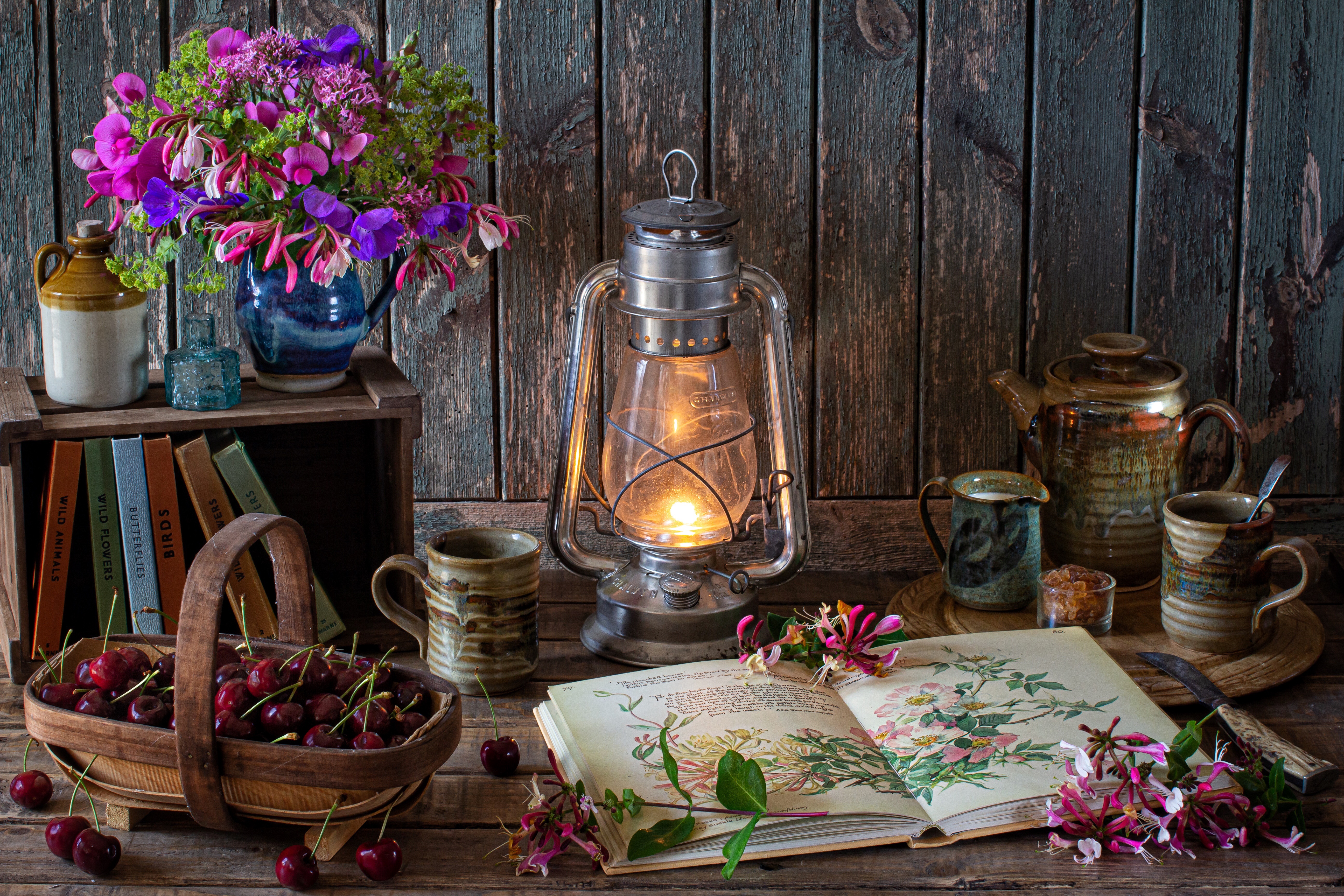 Widescreen image photography, lantern, cherry, flower