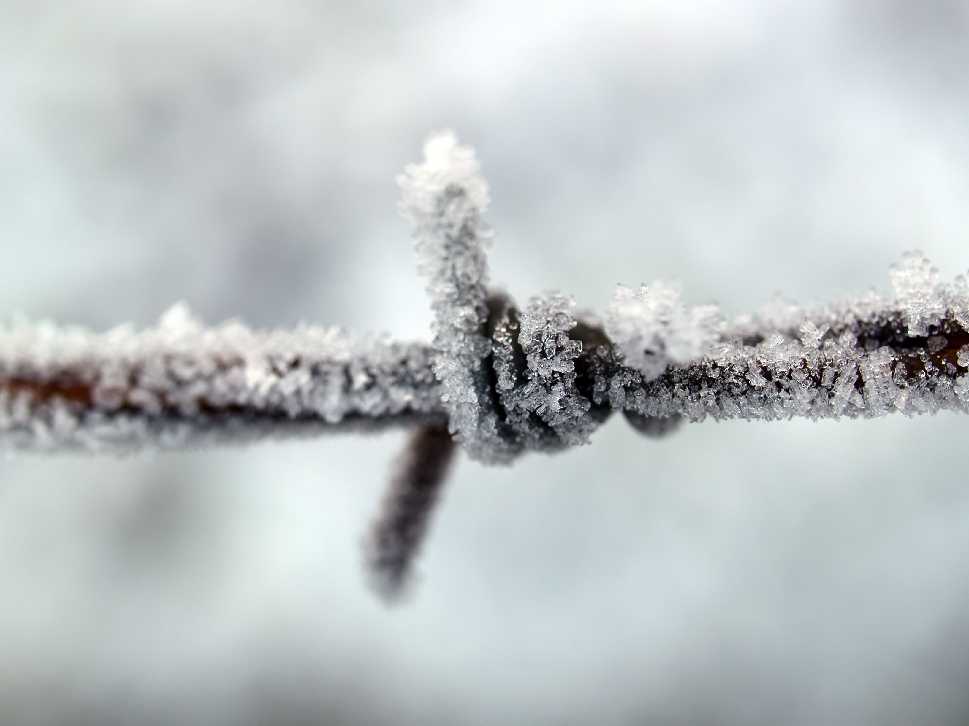 Laden Sie das Schnee, Verschiedenes, Sonstige, Draht, Eisen-Bild kostenlos auf Ihren PC-Desktop herunter