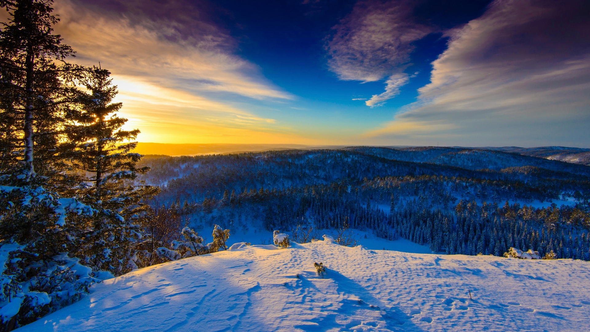 Леса Норвегии зимой
