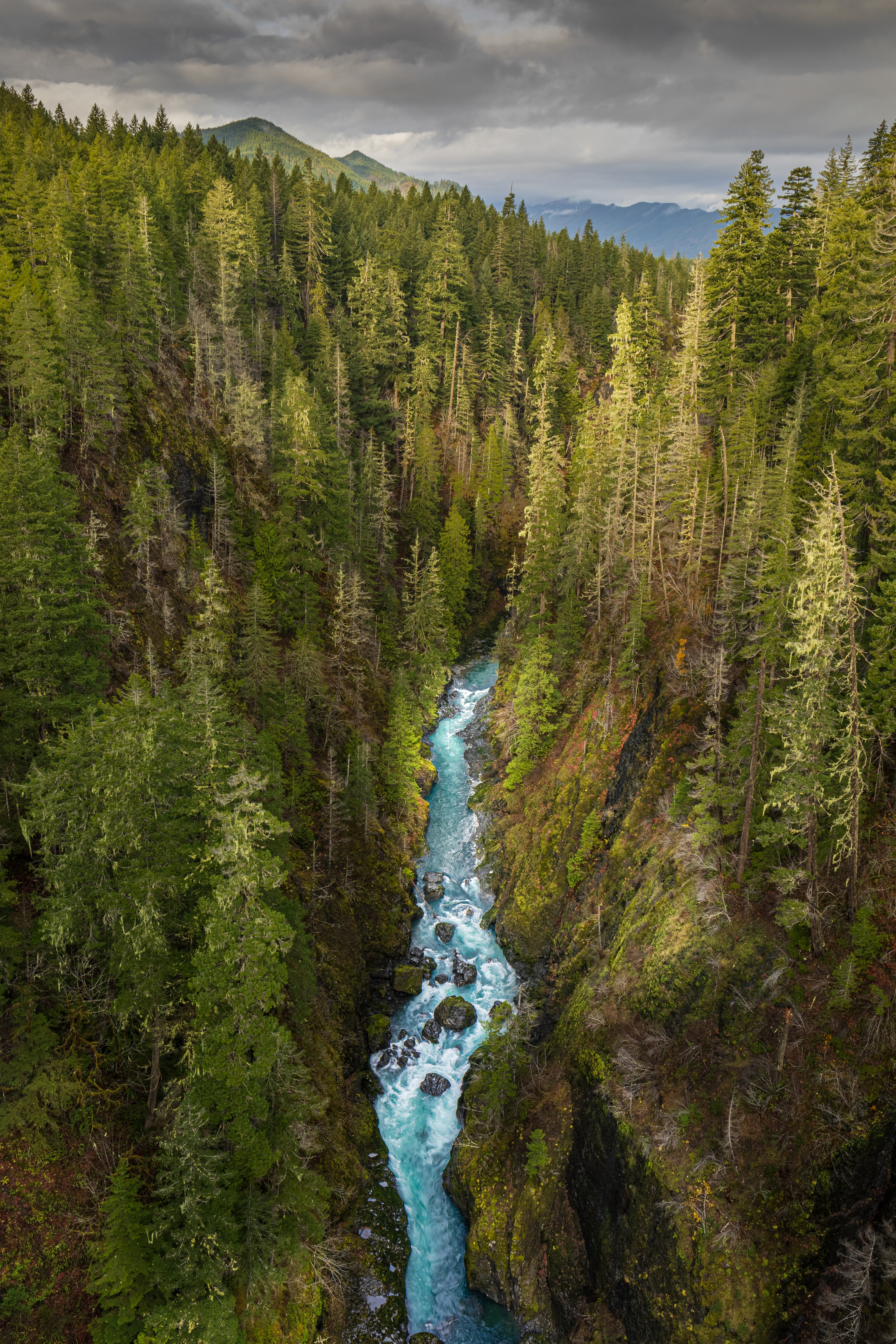 forest, nature, rivers, view from above, gorge