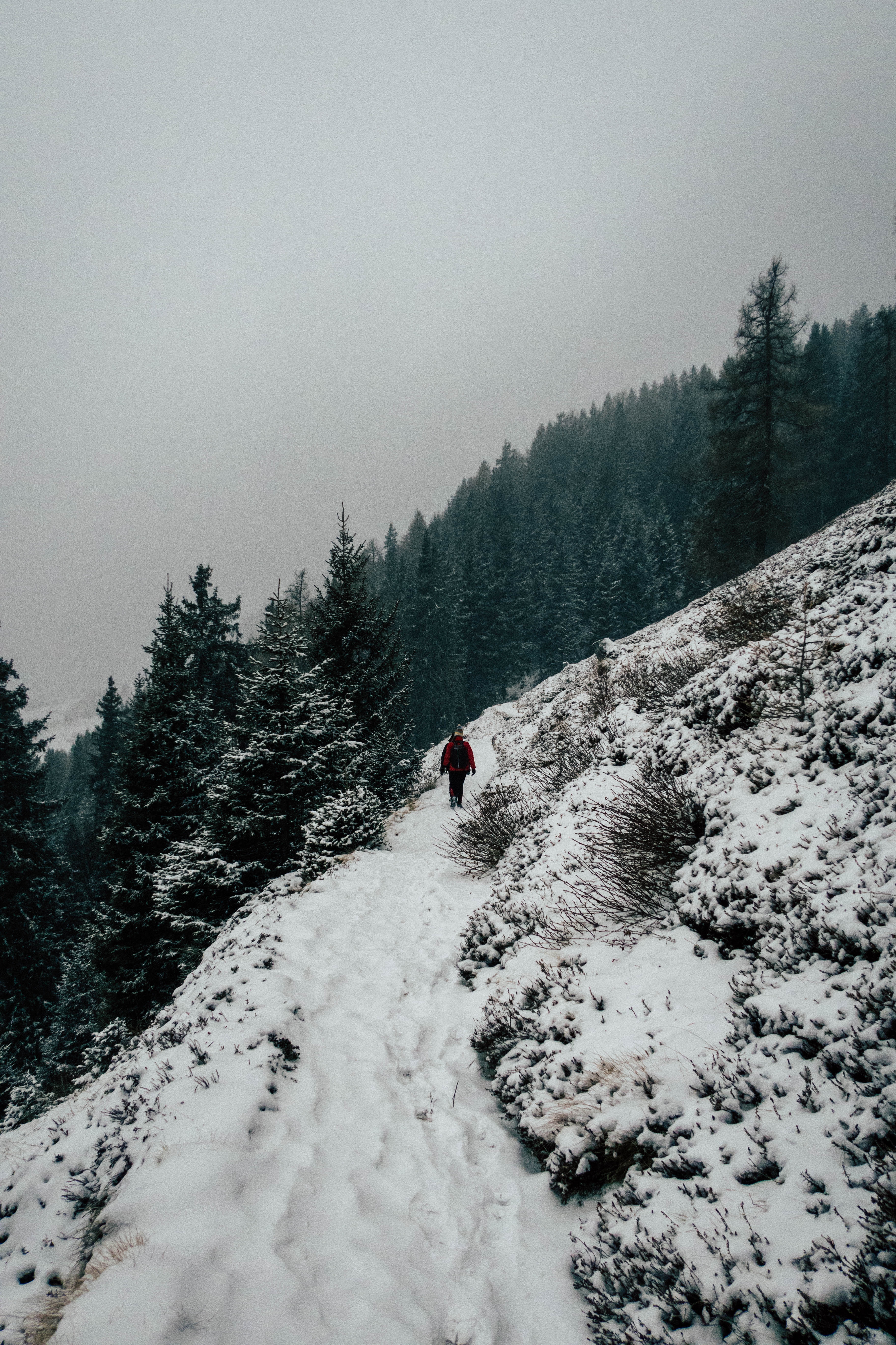 snow, elevation, nature, winter Image for desktop