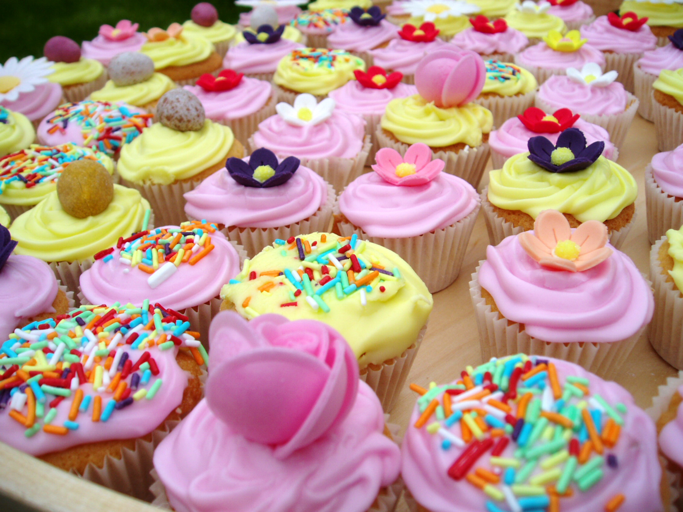 Free Cupcake HD Download HQ