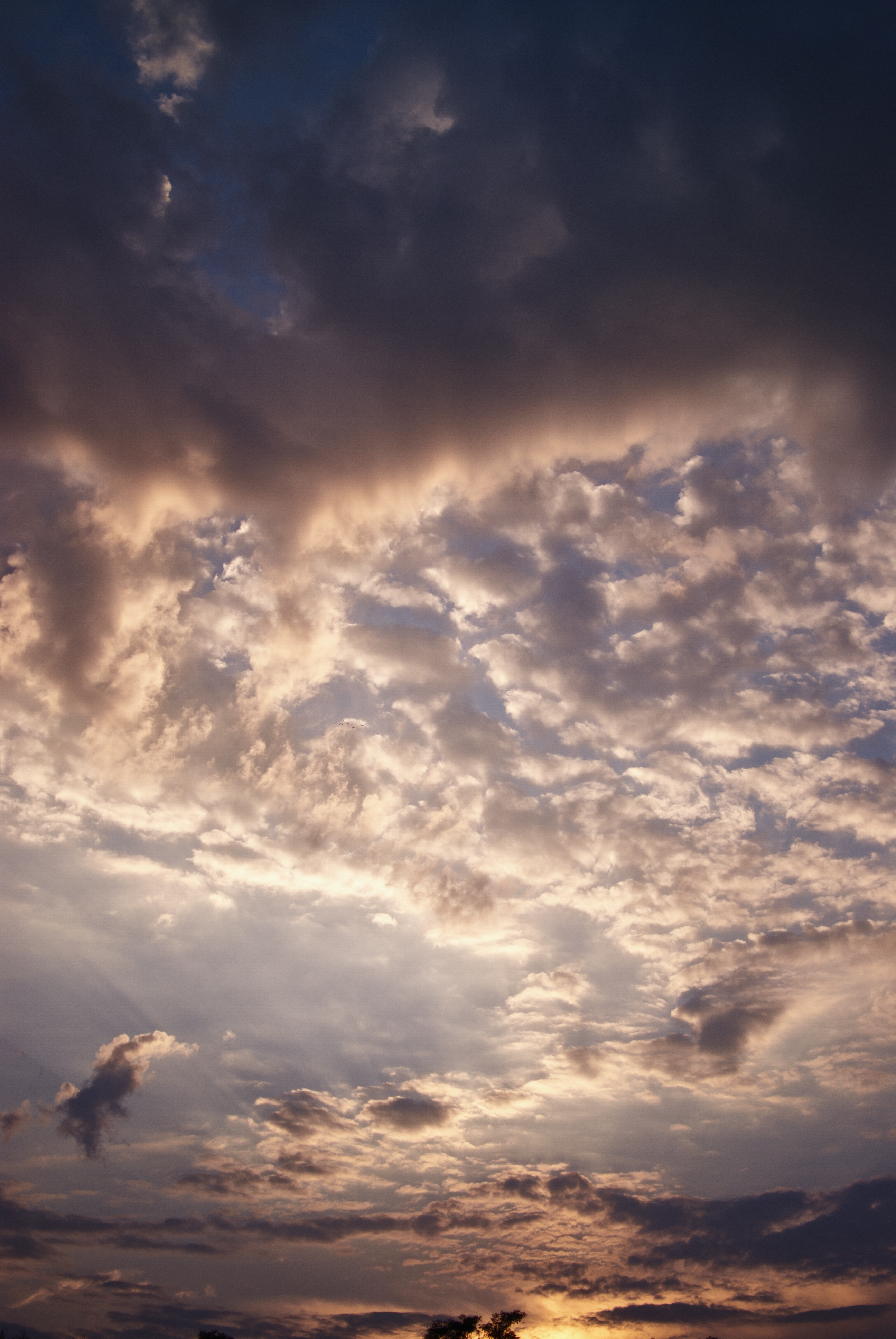 clouds, nature, sunset, sky, evening, cloudy High Definition image