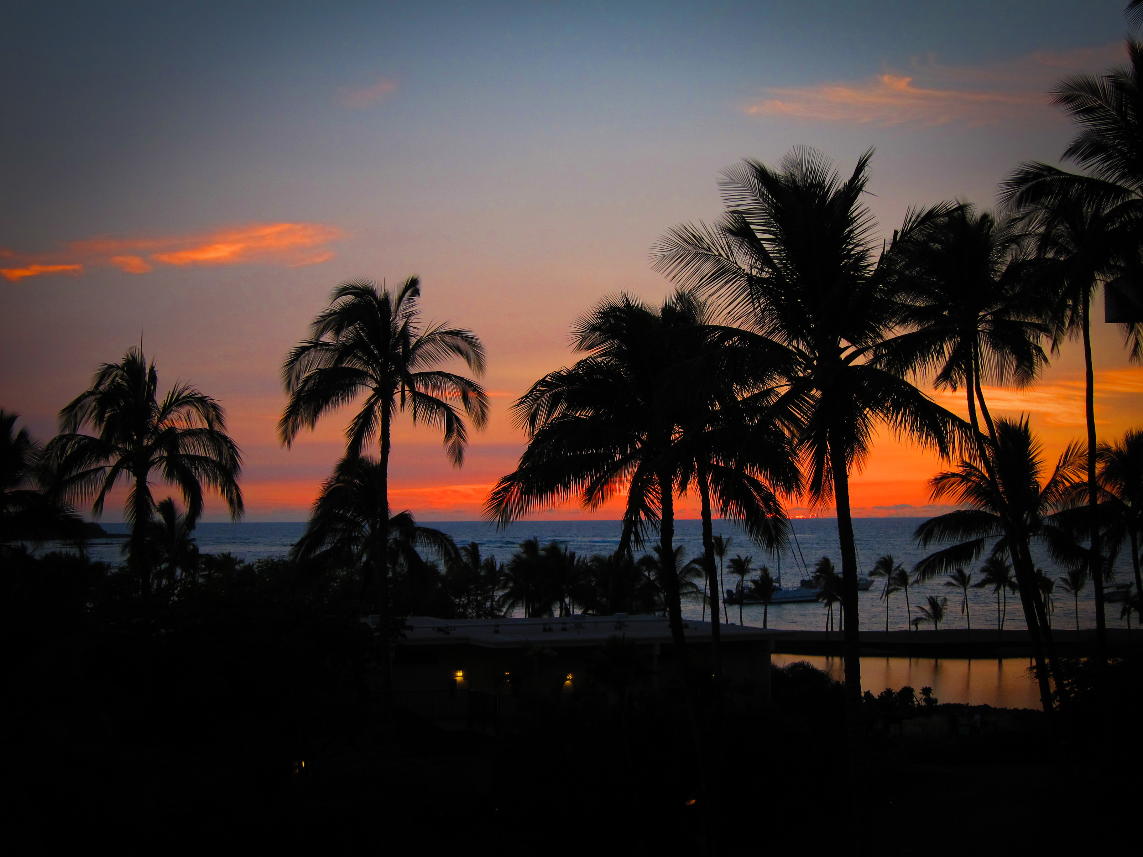 148413 Bild herunterladen natur, sunset, palms, horizont, ozean, hawaii - Hintergrundbilder und Bildschirmschoner kostenlos